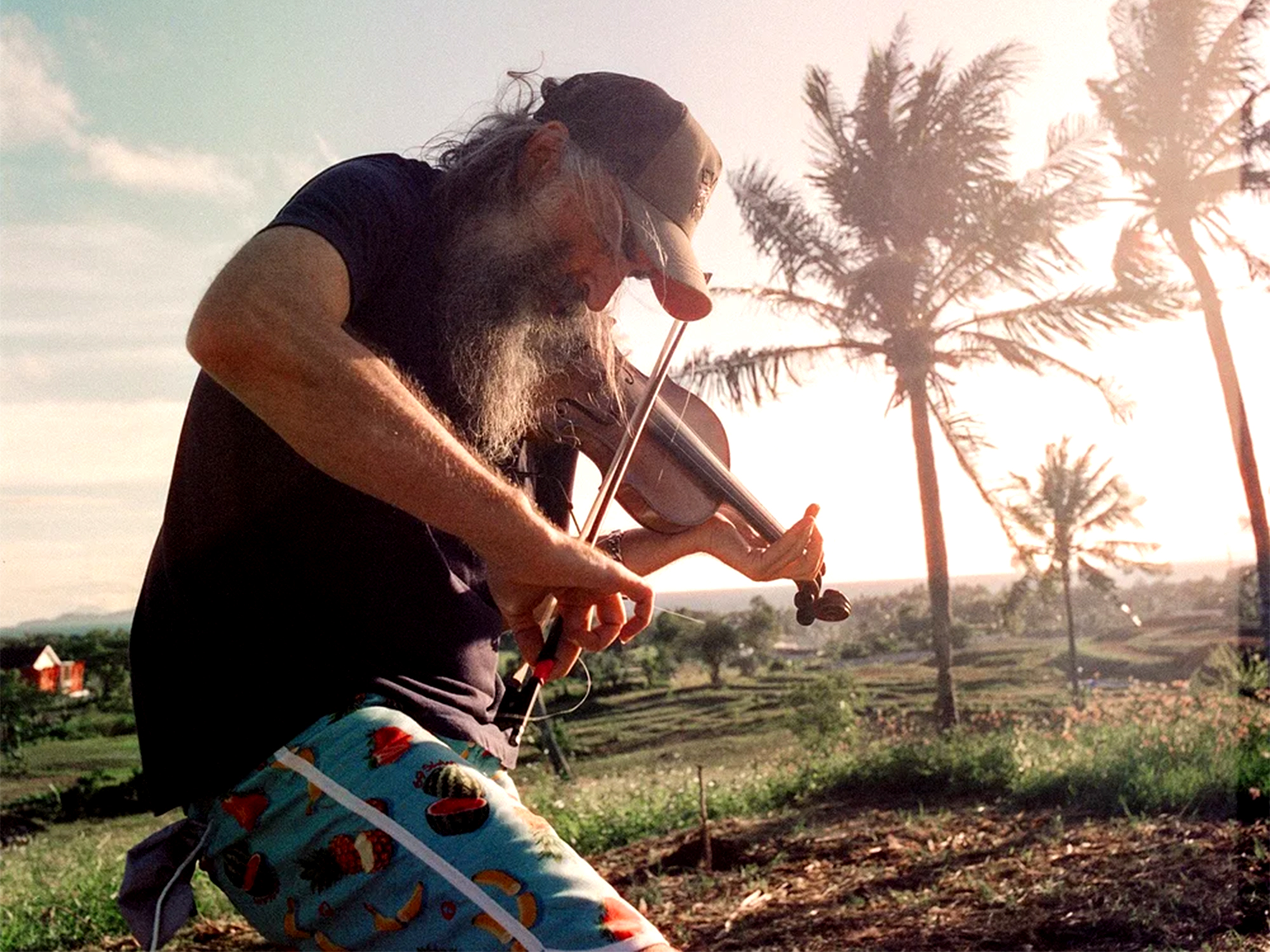 Man with long grey hair playing violin outdoors at sunset with palm trees and tropical landscape in background.