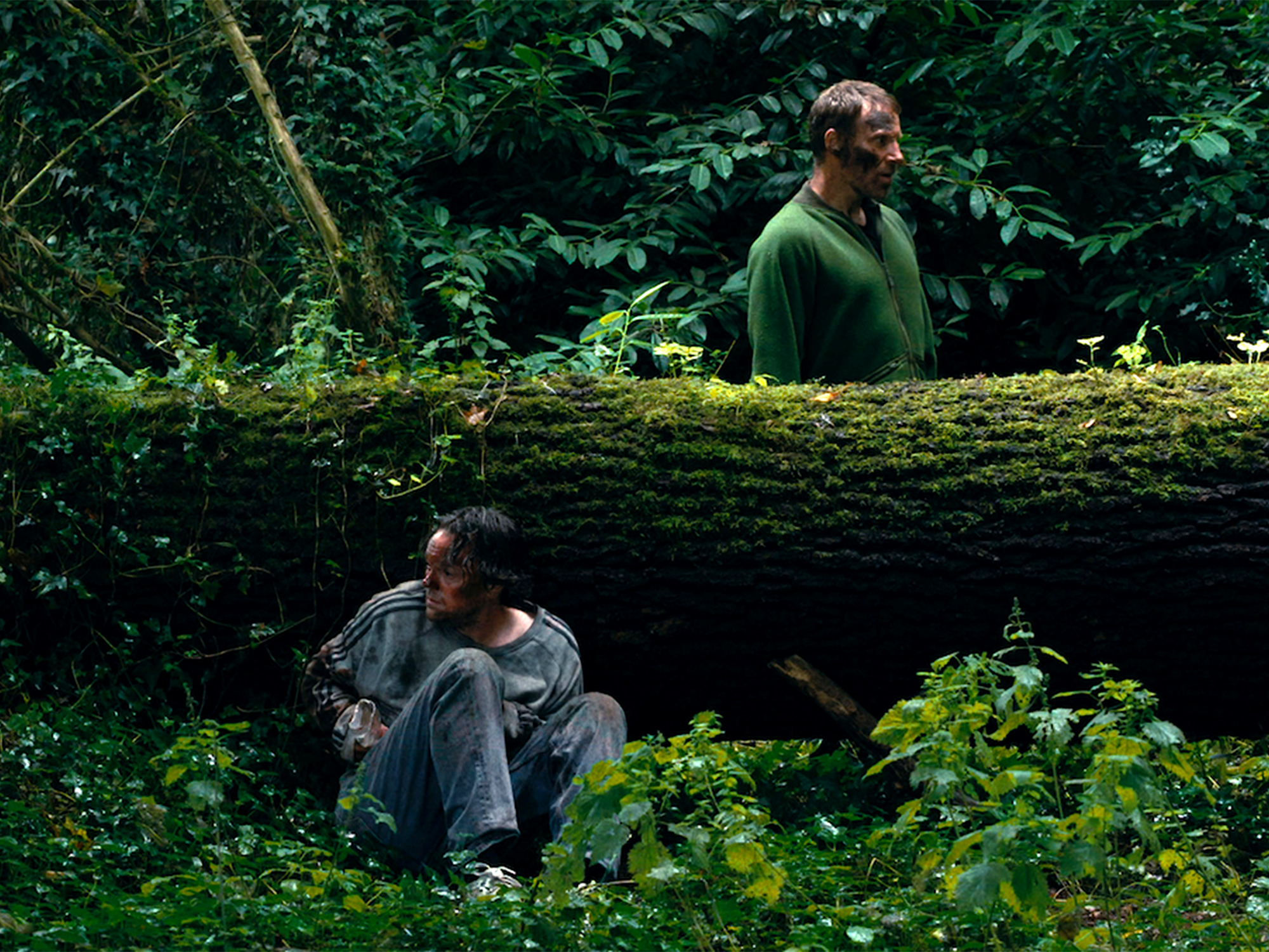 Two men in forest setting; one in green shirt standing behind moss-covered fallen log, another in grey sitting below amongst ferns.