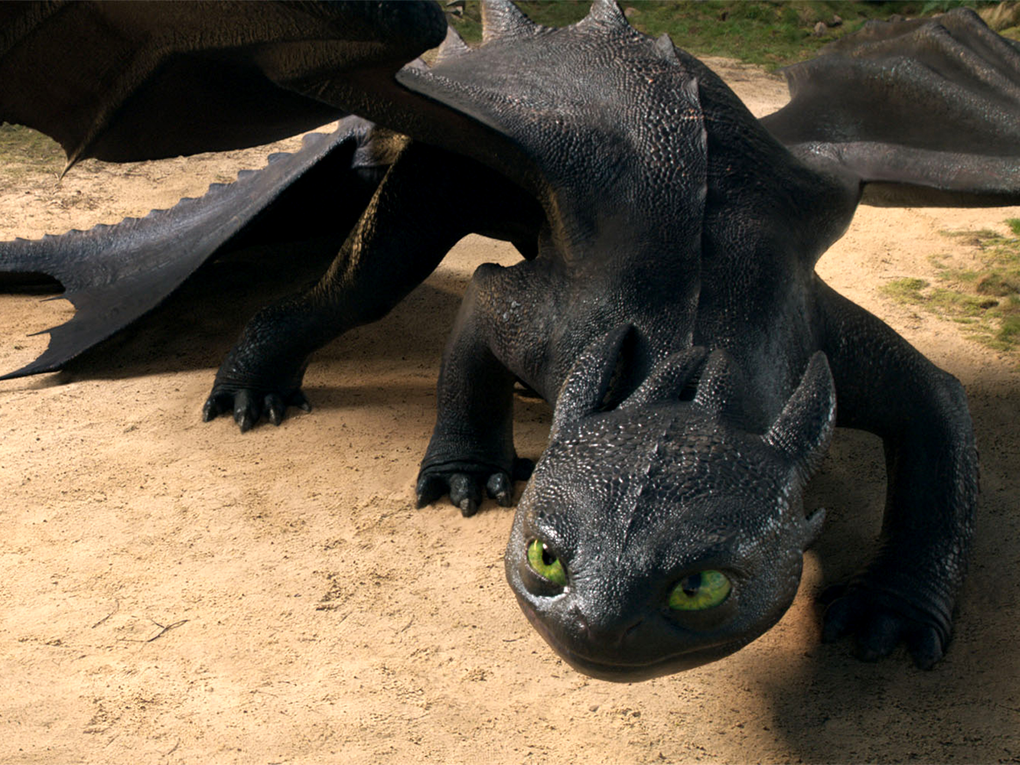 Black dragon-like creature with horns and green eyes resting on sandy ground.