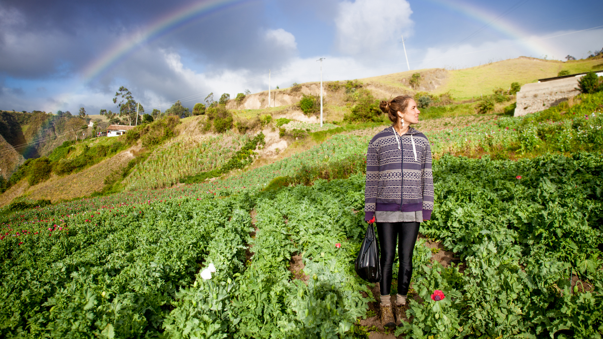 Vibrant green fields, lush vegetation, and a rainbow across a cloudy sky in a rural landscape.