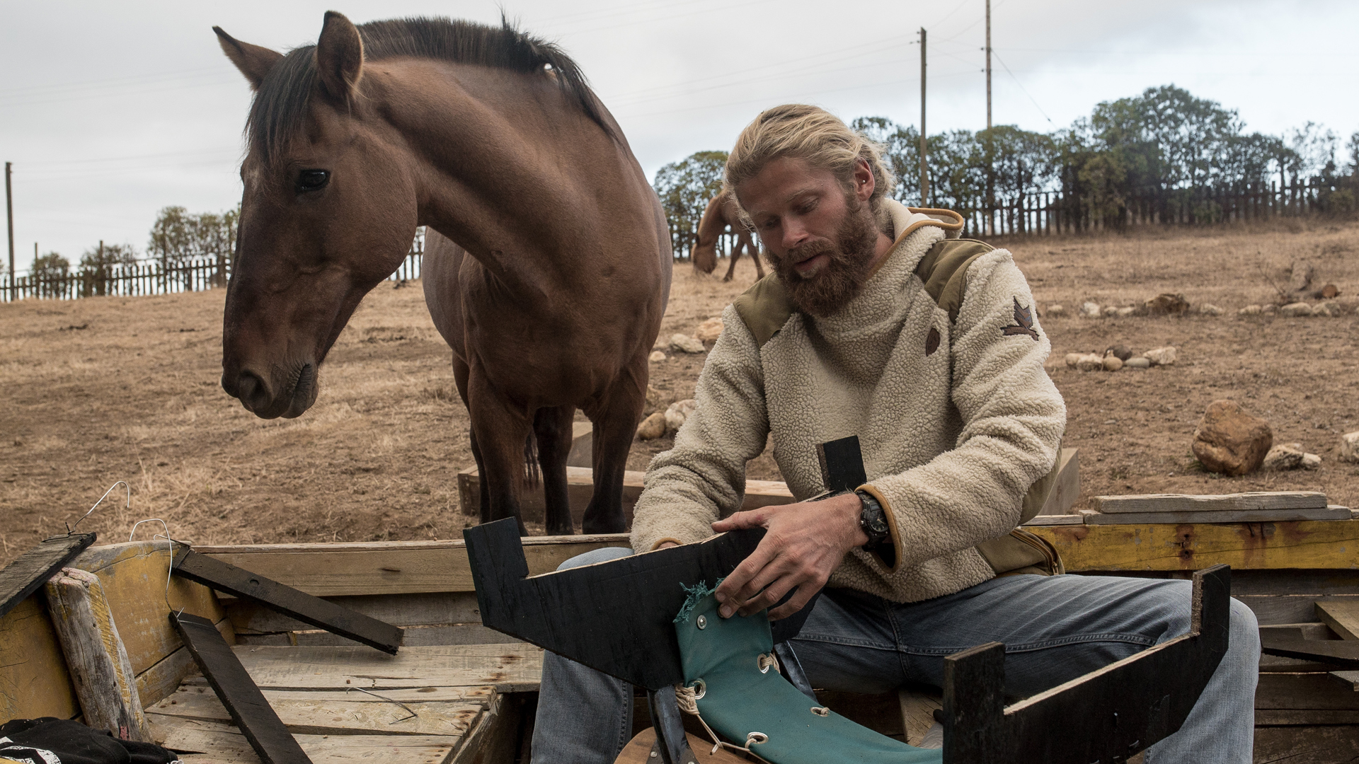 A man with long hair sitting on a wooden platform, stroking a brown horse in a field with trees in the background.
