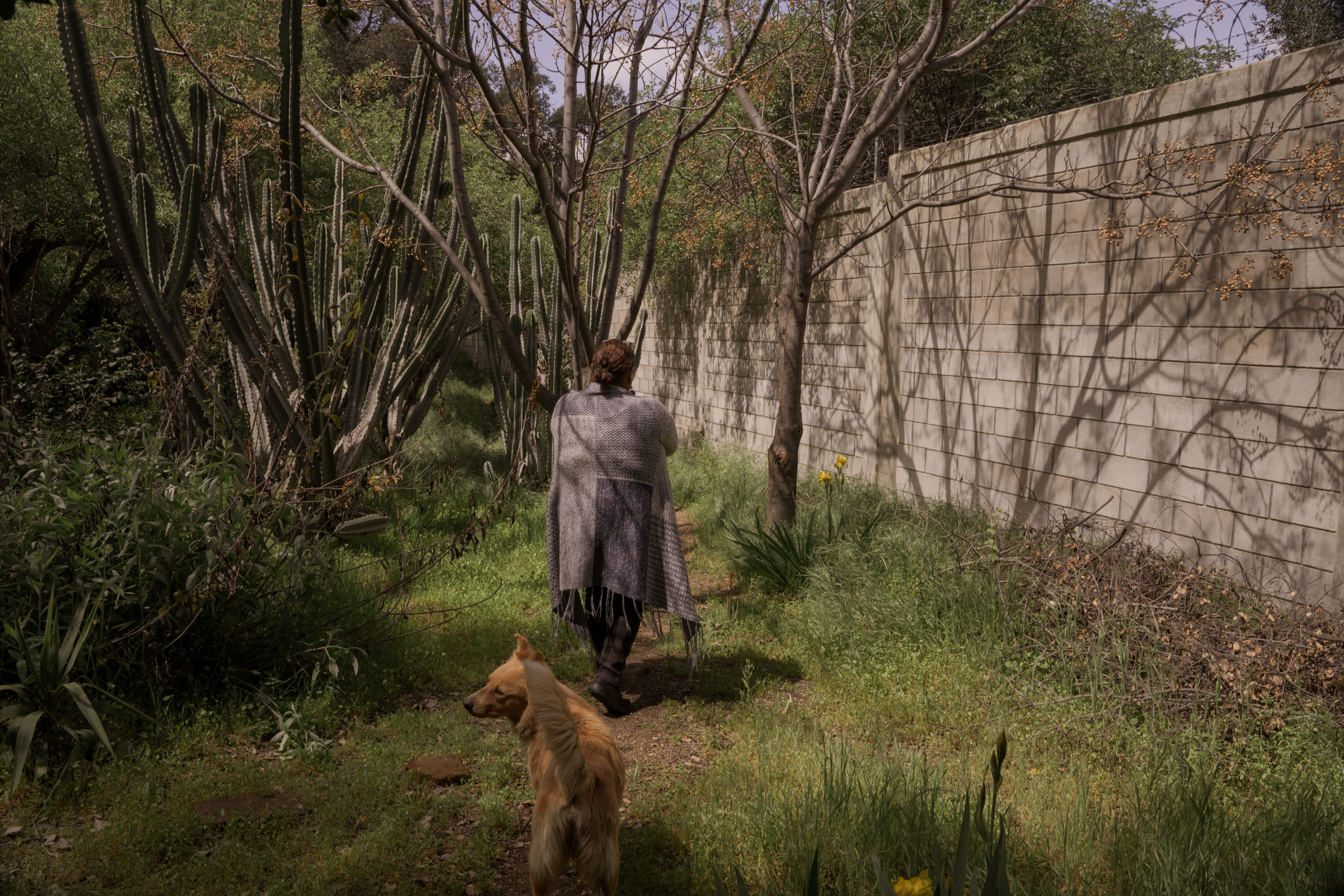 Overgrown garden with person and dog, rustic brick wall in background, lush greenery.