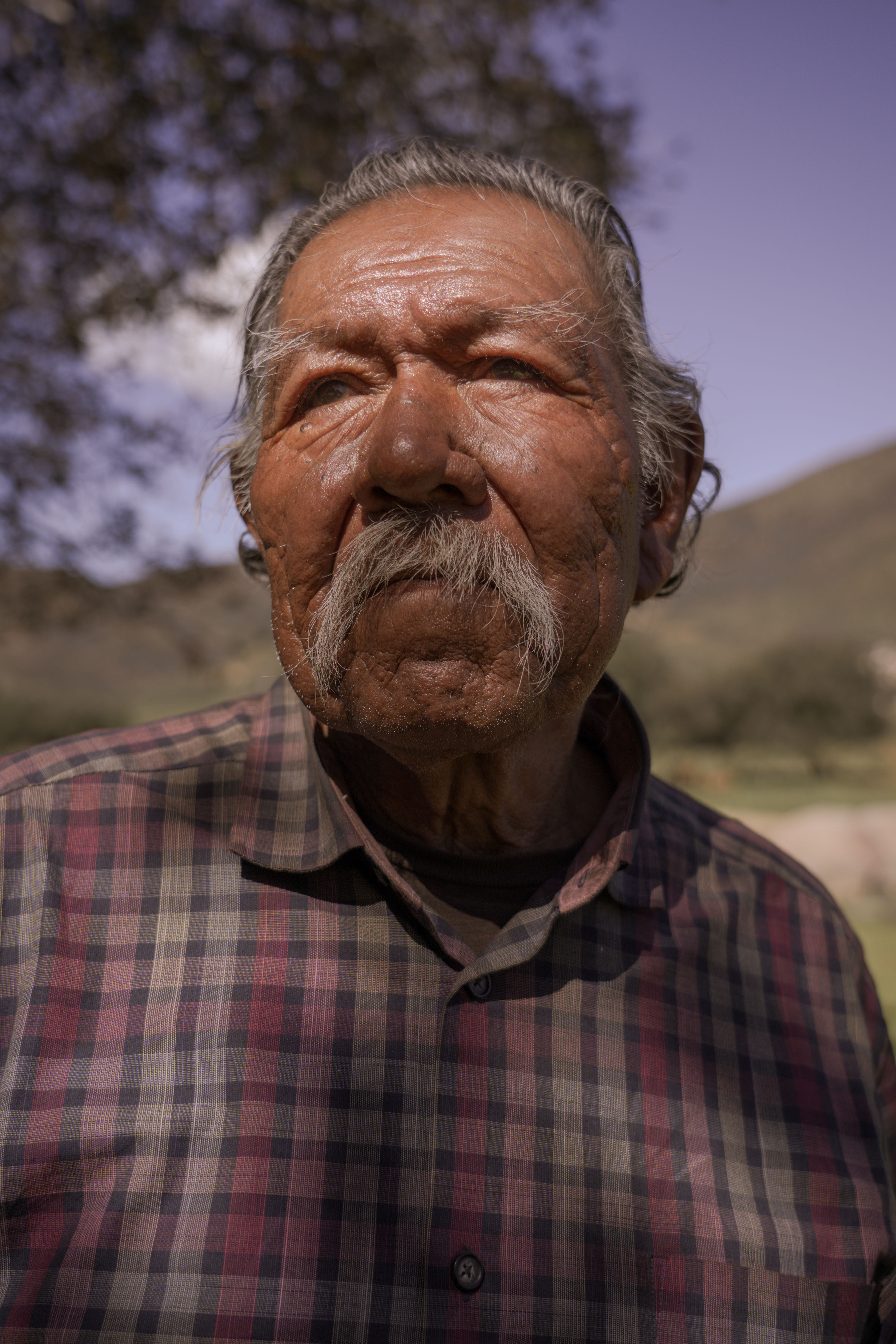 An elderly man with a thick grey beard, wearing a checked shirt, looking straight ahead with a serious expression against a blurred natural background.