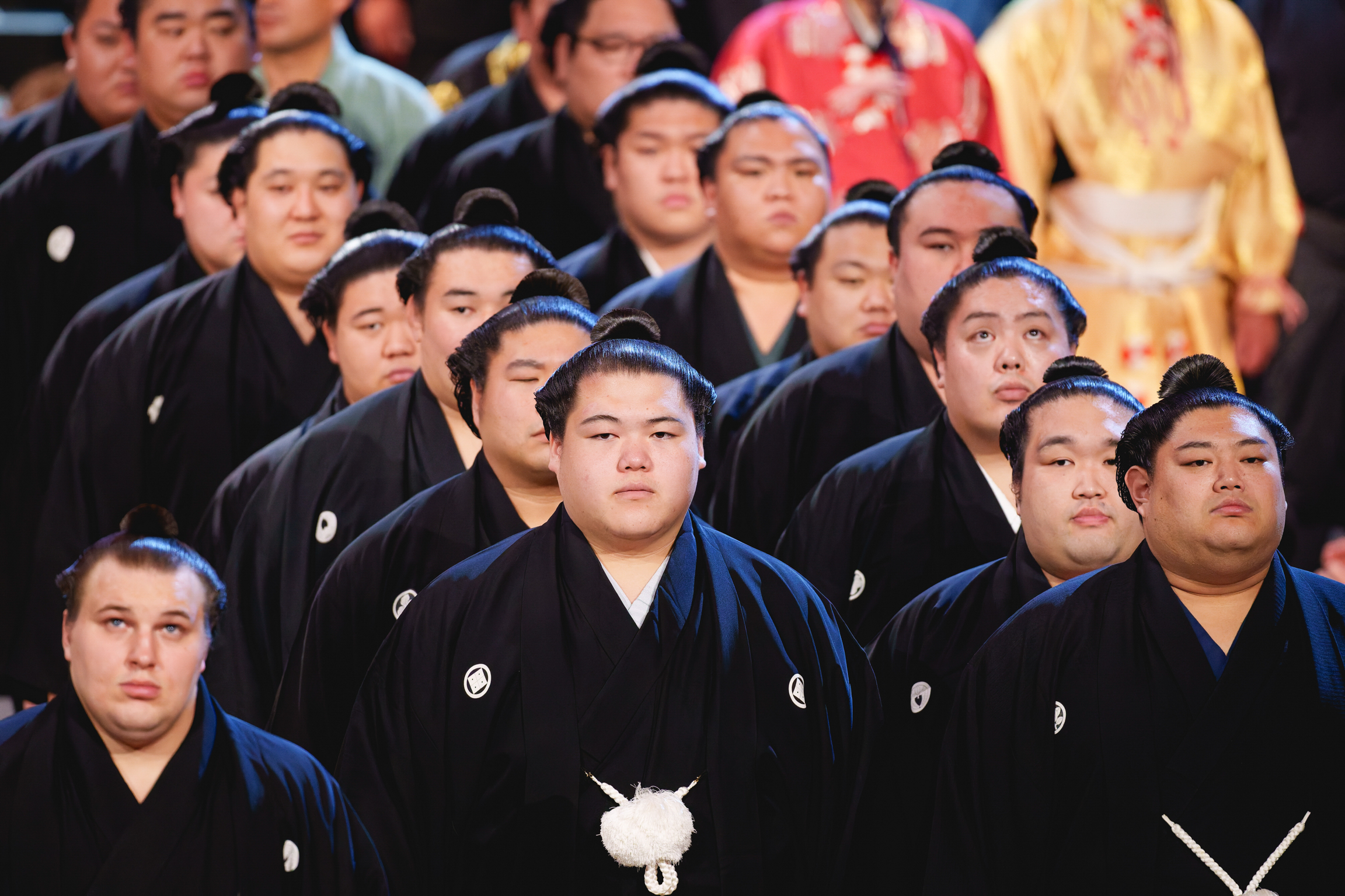 Group of sumo wrestlers wearing dark blue traditional robes with white emblems, arranged in tiered rows facing forward.