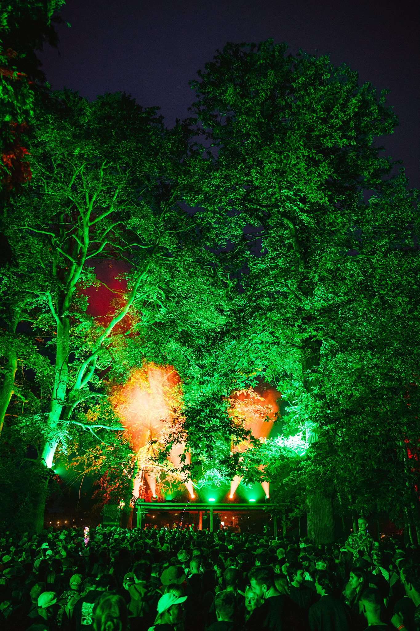 Trees illuminated with bright green lighting at night event, crowd gathered below, orange spotlights visible through branches.