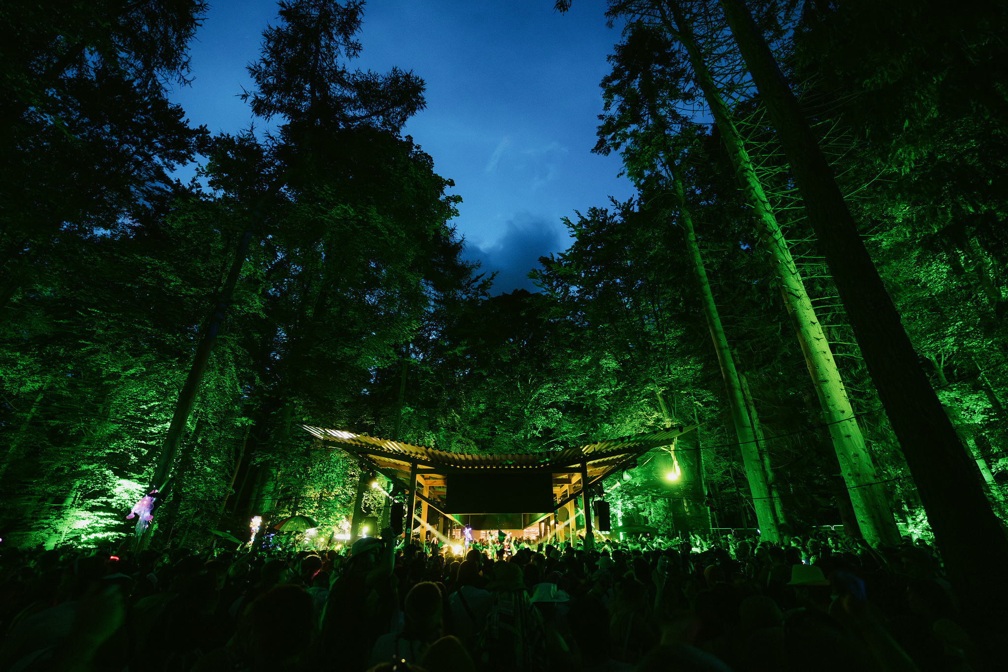 Illuminated wooden structure amongst tall trees at dusk, with green lighting on tree trunks and warm yellow lights on building against blue sky.