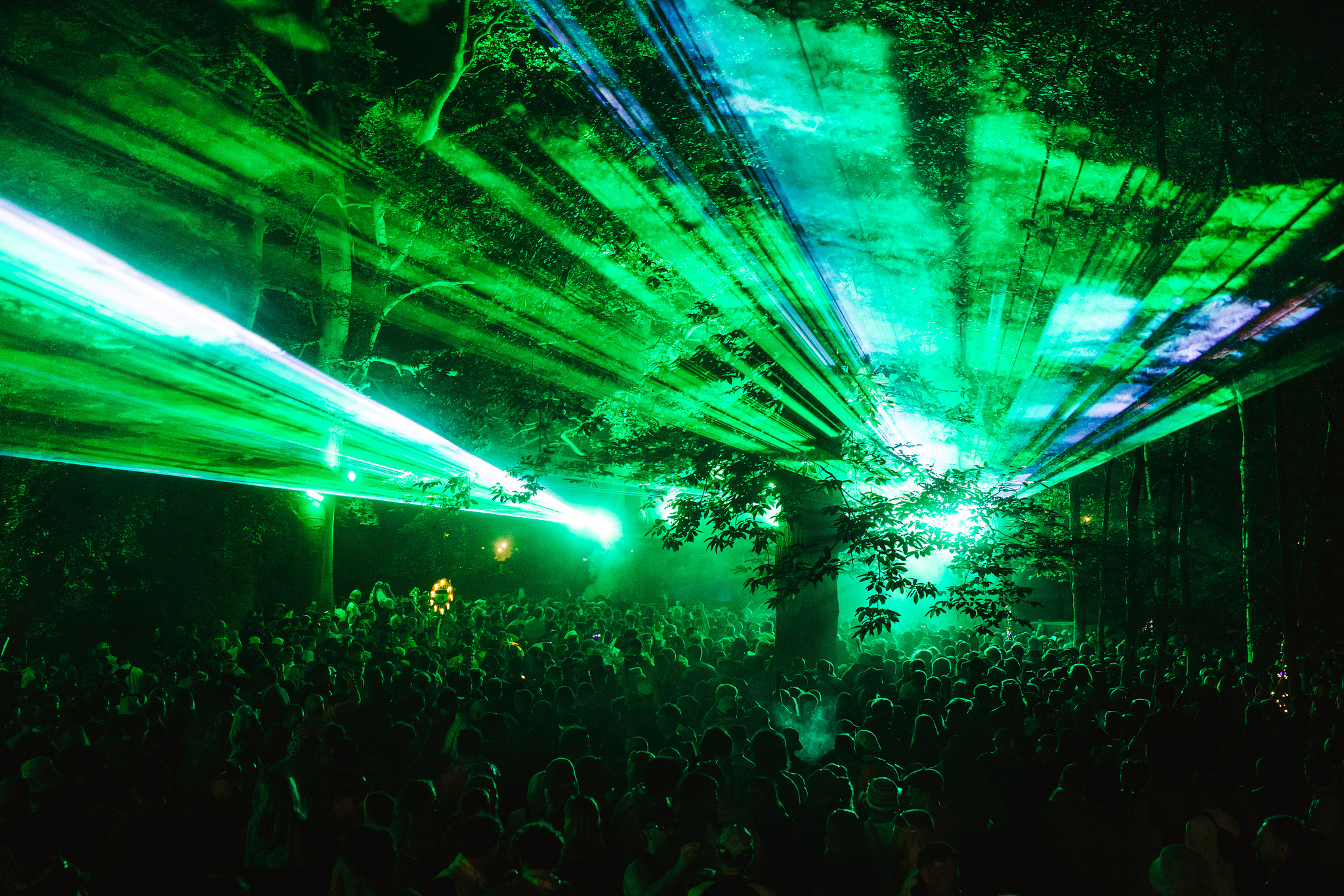 Bright green laser beams radiate across a dark venue ceiling above a crowded dance floor with silhouetted figures below.