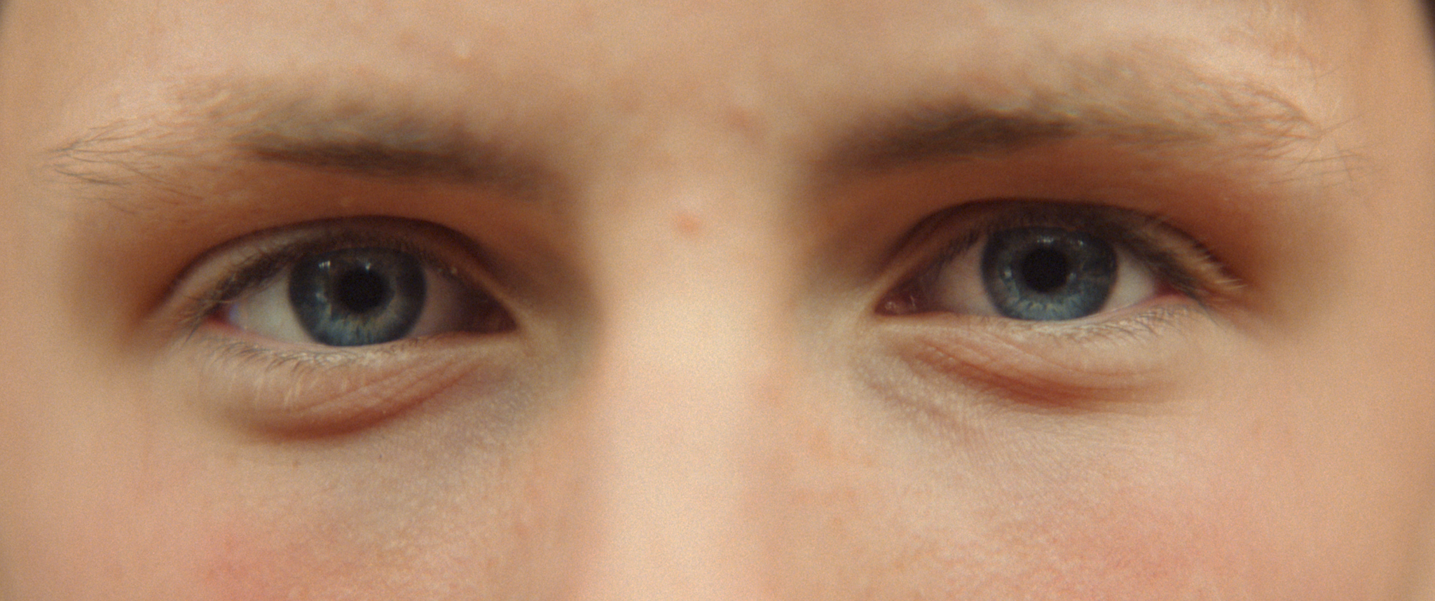 Closeup of a person's blue-grey eyes, with a warm-toned eyeshadow.