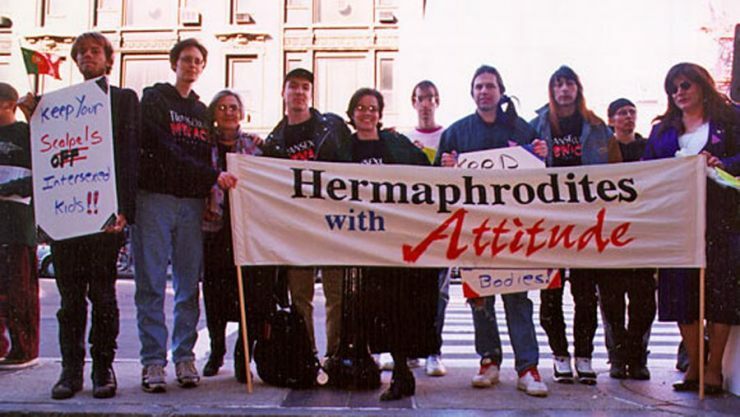 Group of people holding white banner reading "Hermaphrodites with Attitude" in red and black text on building steps.