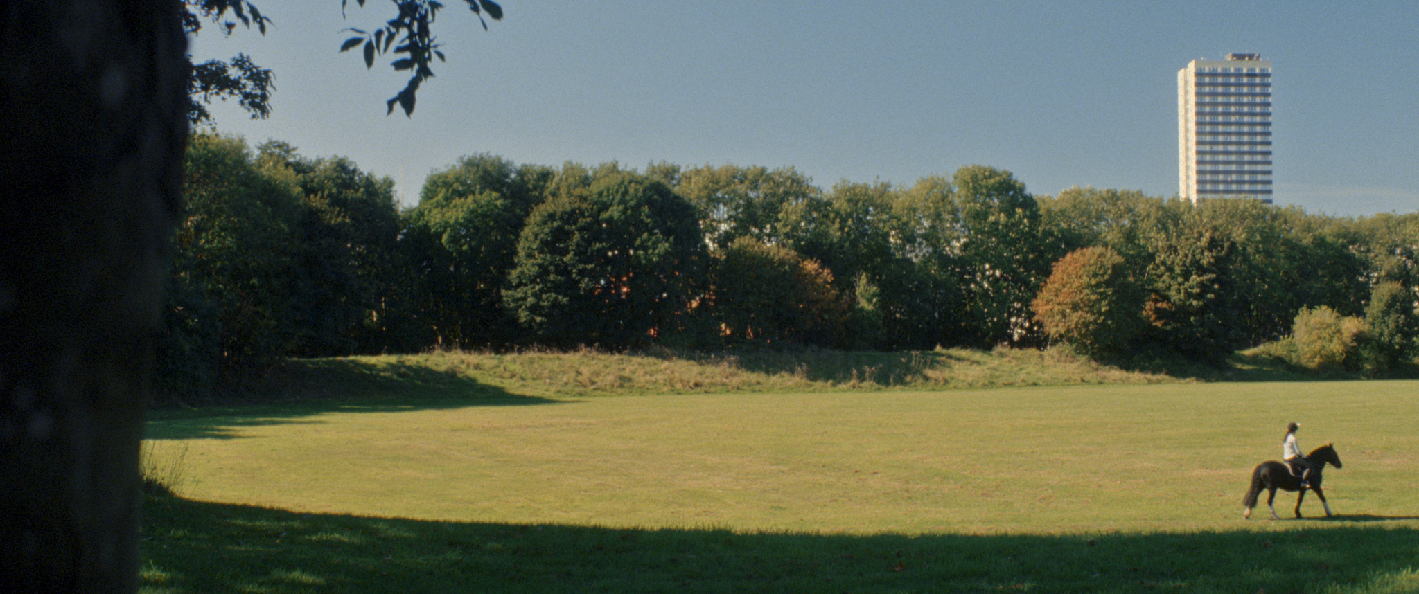 Grassy park with trees and buildings in the distance, a person riding a horse in the foreground.