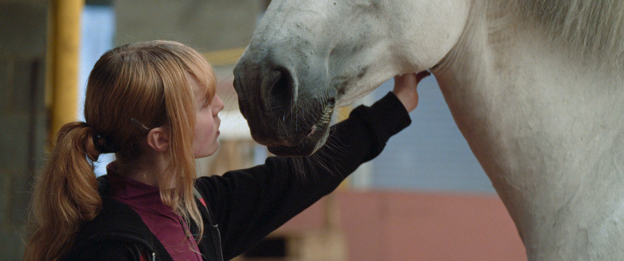 A young girl with pigtails gently pets the muzzle of a large white horse.