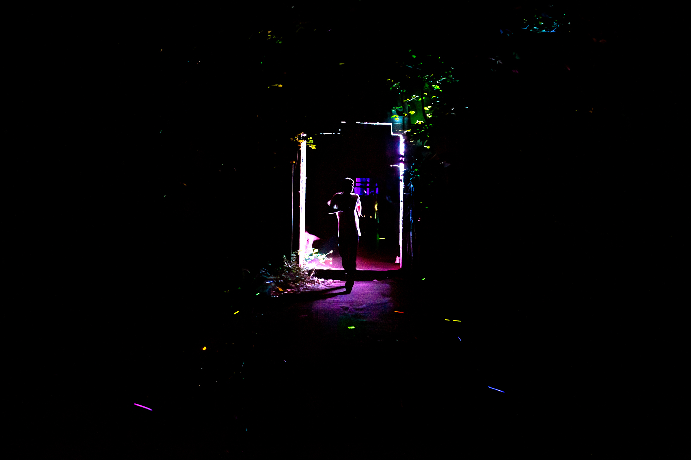 Dark outdoor scene with person silhouetted against bright white and purple lighting between columns or posts, surrounded by trees.