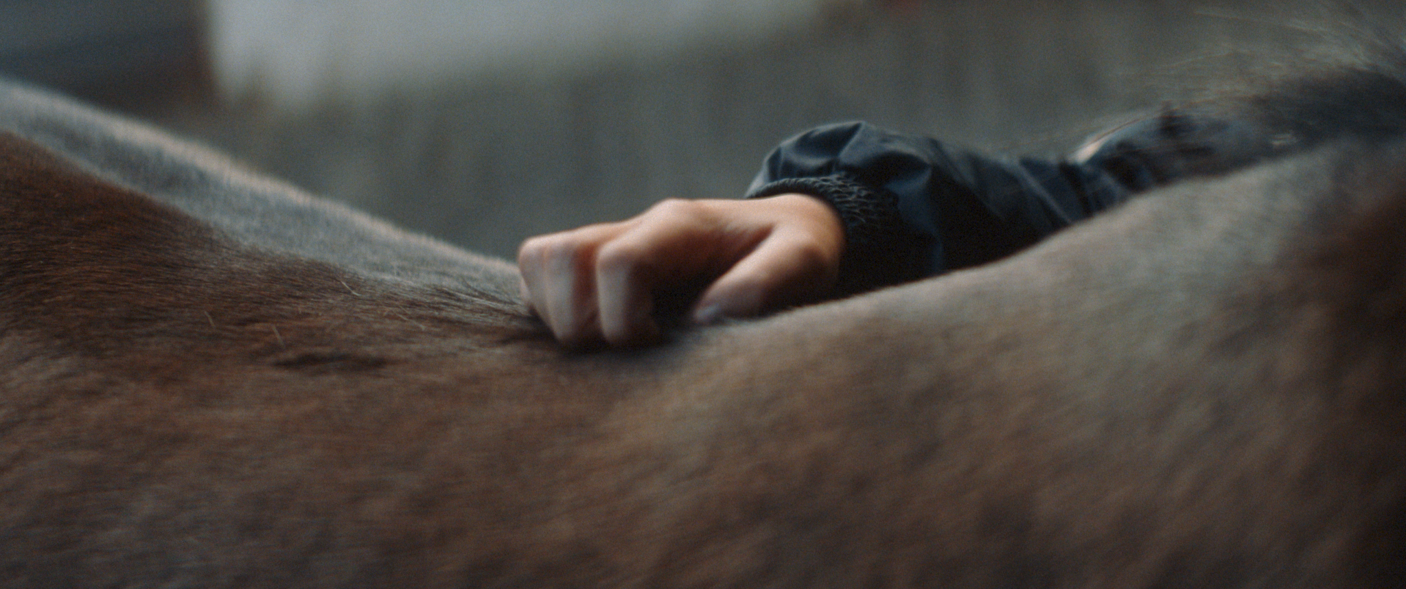 Outstretched hand on wooden surface, dark clothing.