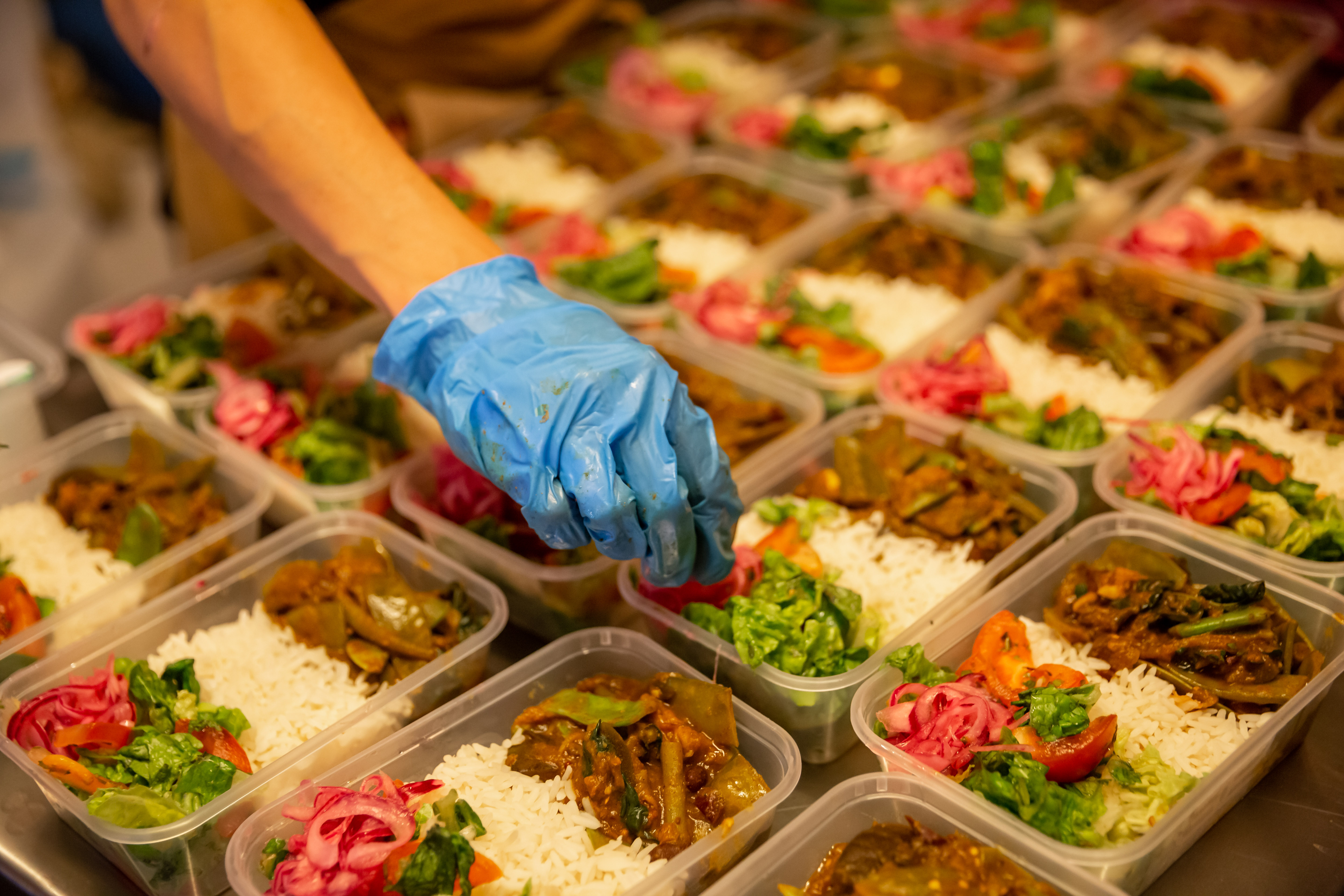 Blue-gloved hand placing green herbs onto meal prep containers filled with brown meat, white rice, and red tomatoes.
