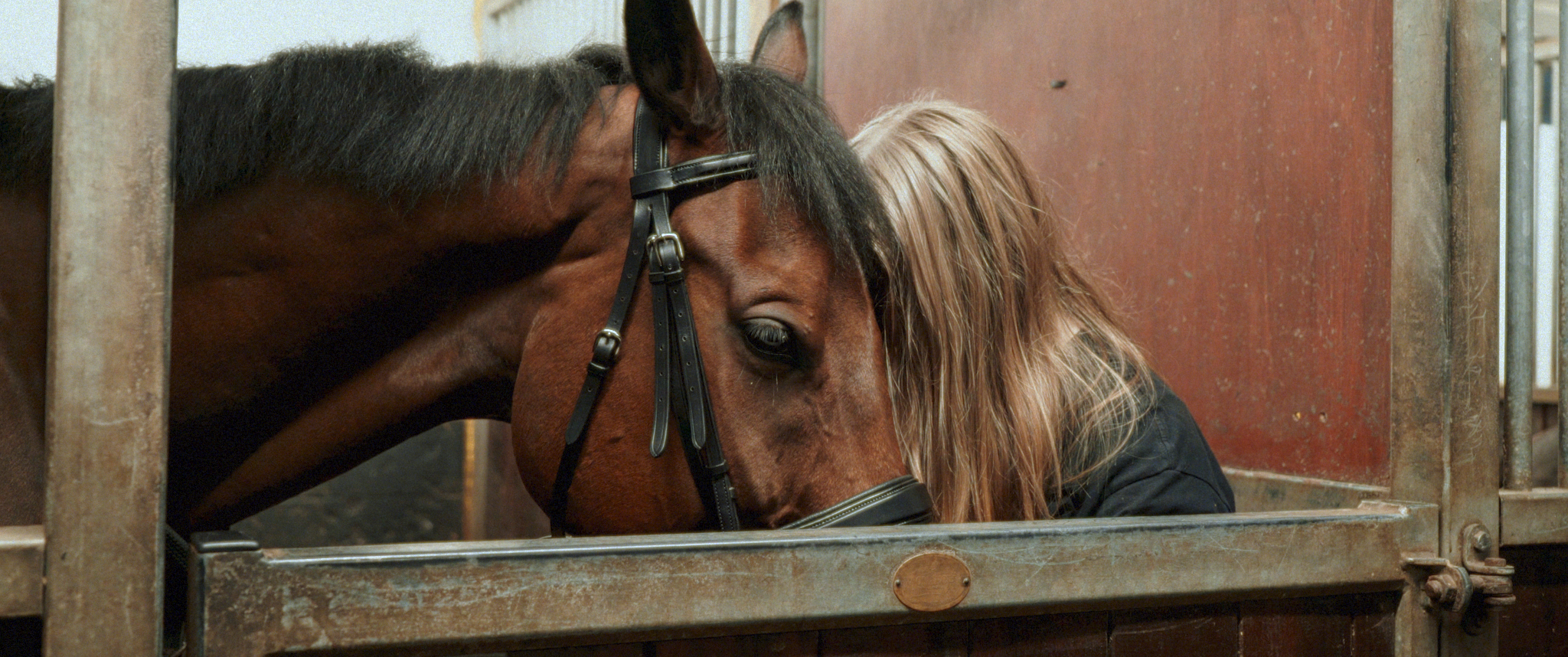 A brown horse with a blonde mane peeking out from a wooden stable.
