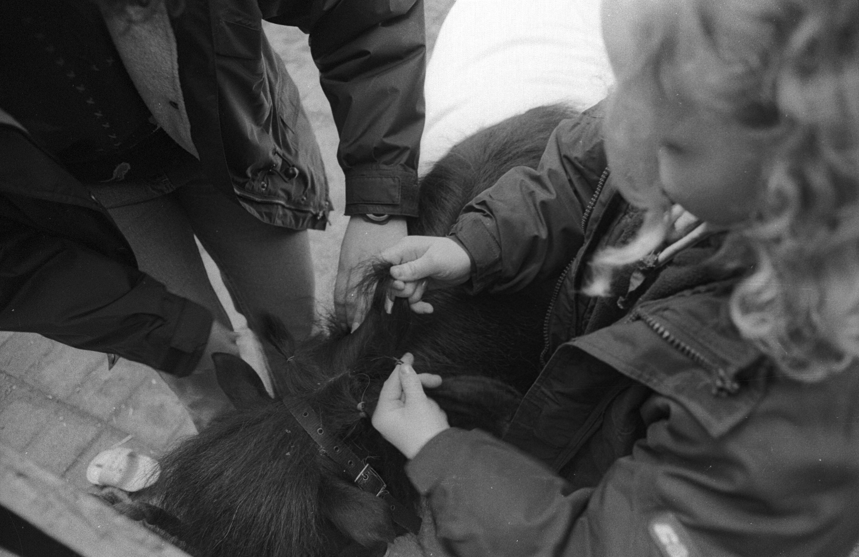 Elderly person's hands gripping another's hand in a black and white photograph.