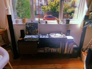 A room with a record player, amplifier, and shelves of vinyl records near a window displaying plants and outdoor greenery.