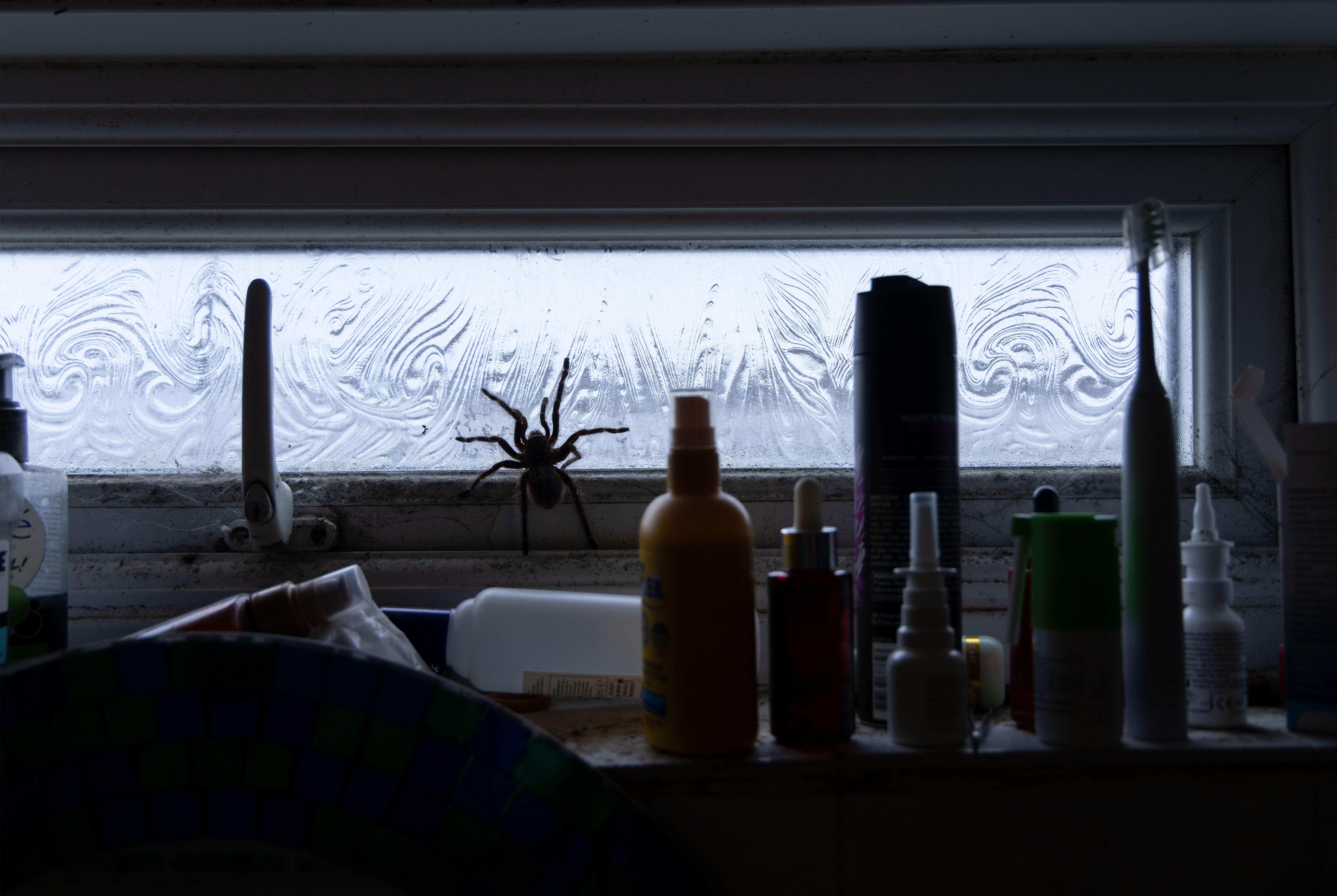 Dimly lit room with window, spider ornament, bottles and glassware on a surface.