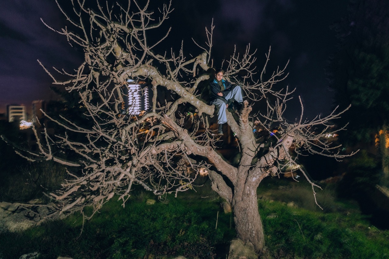 Bare, twisted tree branches against a dark night sky, with illuminated decorations and a person perched on a branch.