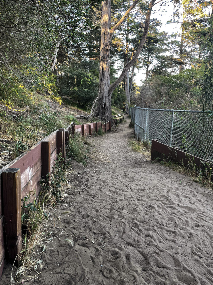 Dirt path winding through wooded area with wooden railing on left, chain-link fence on right, tall trees overhead casting shadows.