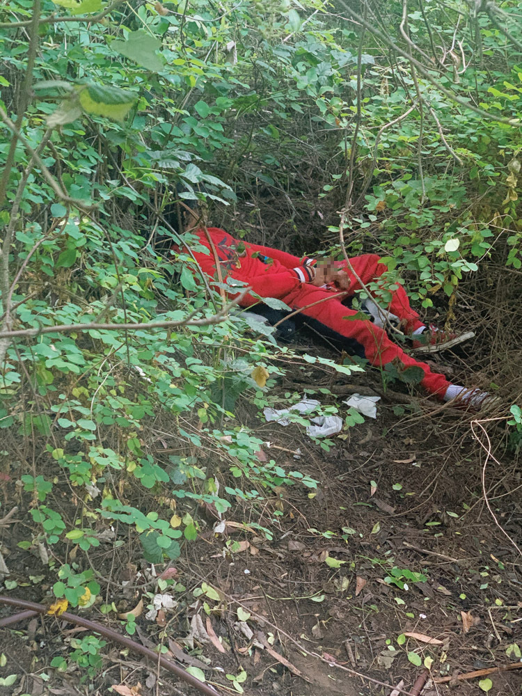 Person in red jacket lying amongst dense green vegetation and undergrowth on forest floor with scattered litter.