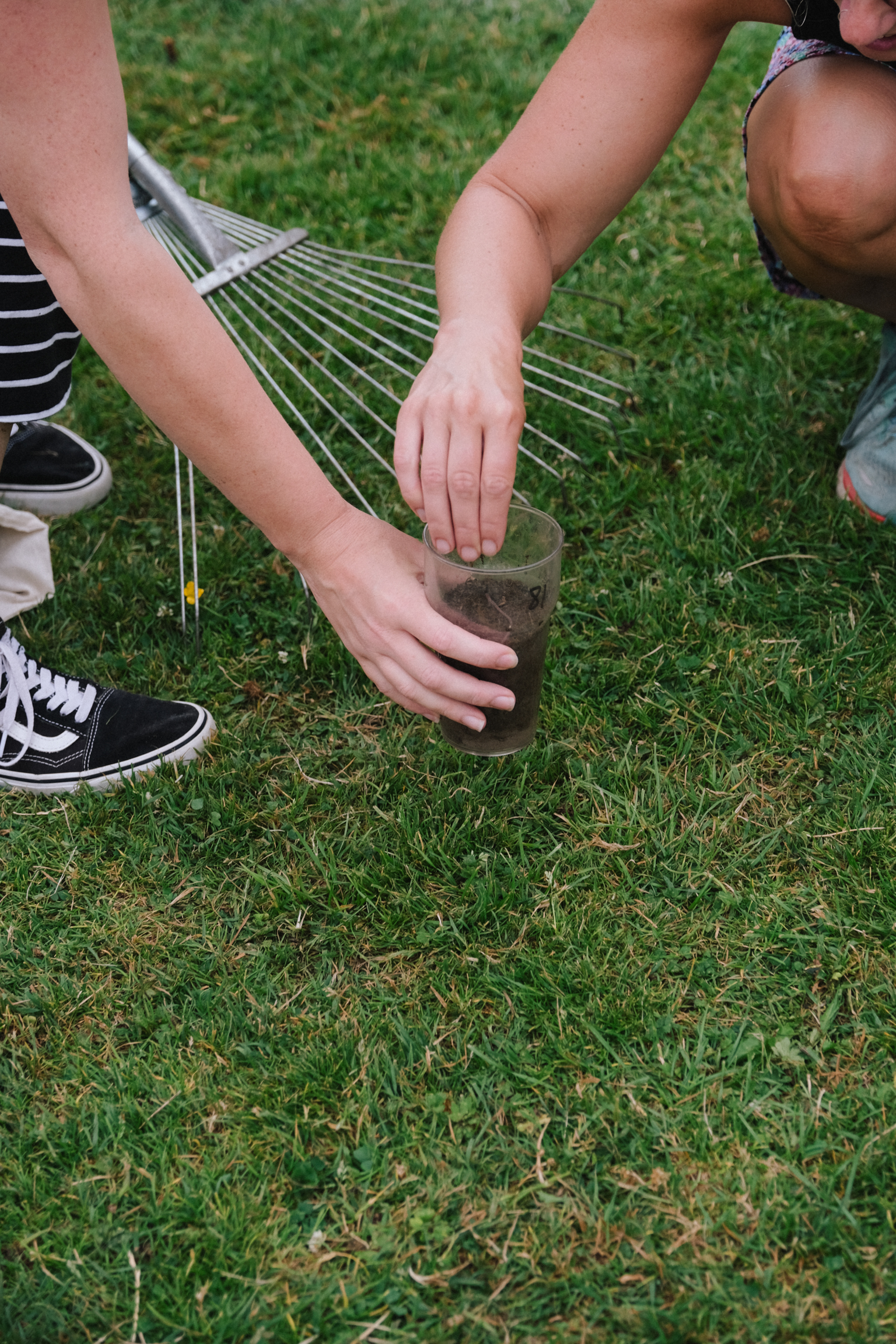 Person crouching on grass, hands cupped around small glass jar, wire cooling rack and black trainers visible nearby.