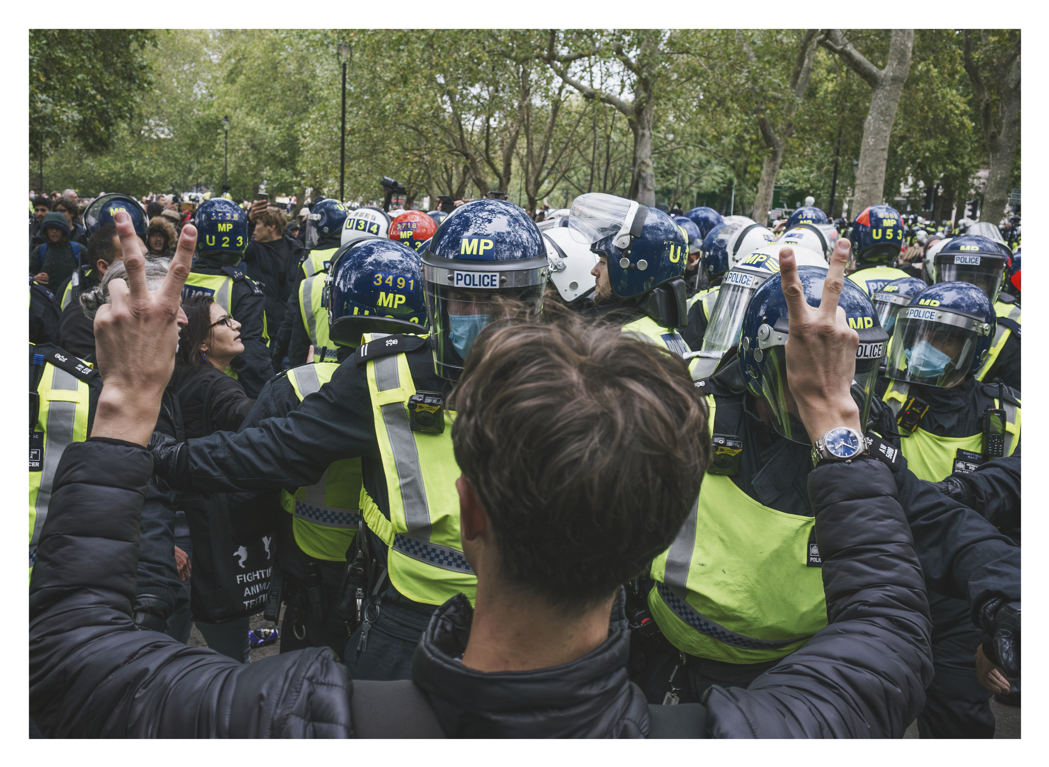 Person with raised hands facing line of police in riot gear with helmets and high-vis jackets in park setting with trees.