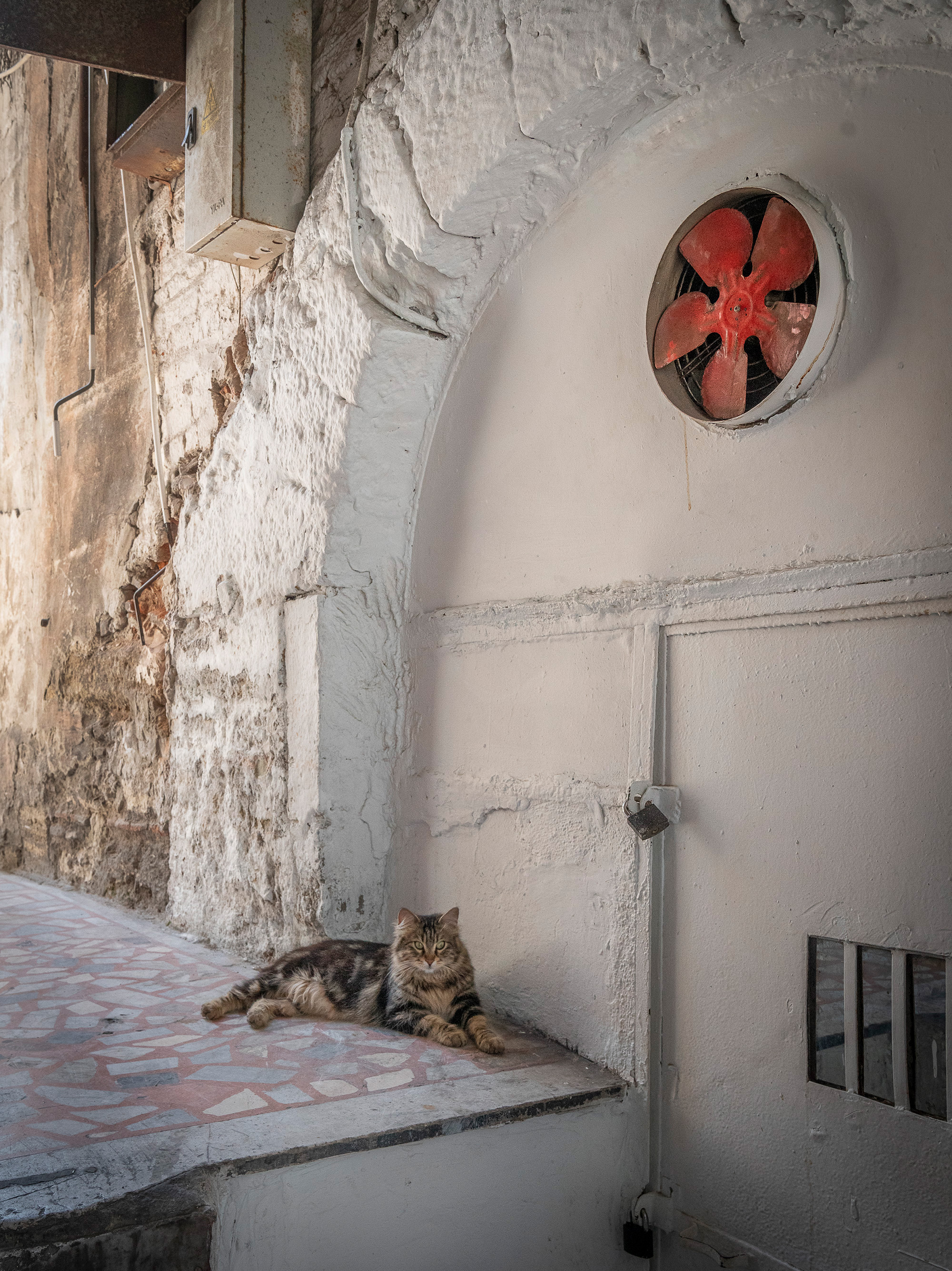 Tabby cat lying on tiled floor in deteriorating interior with peeling white walls, red circular fan, and weathered wooden elements.