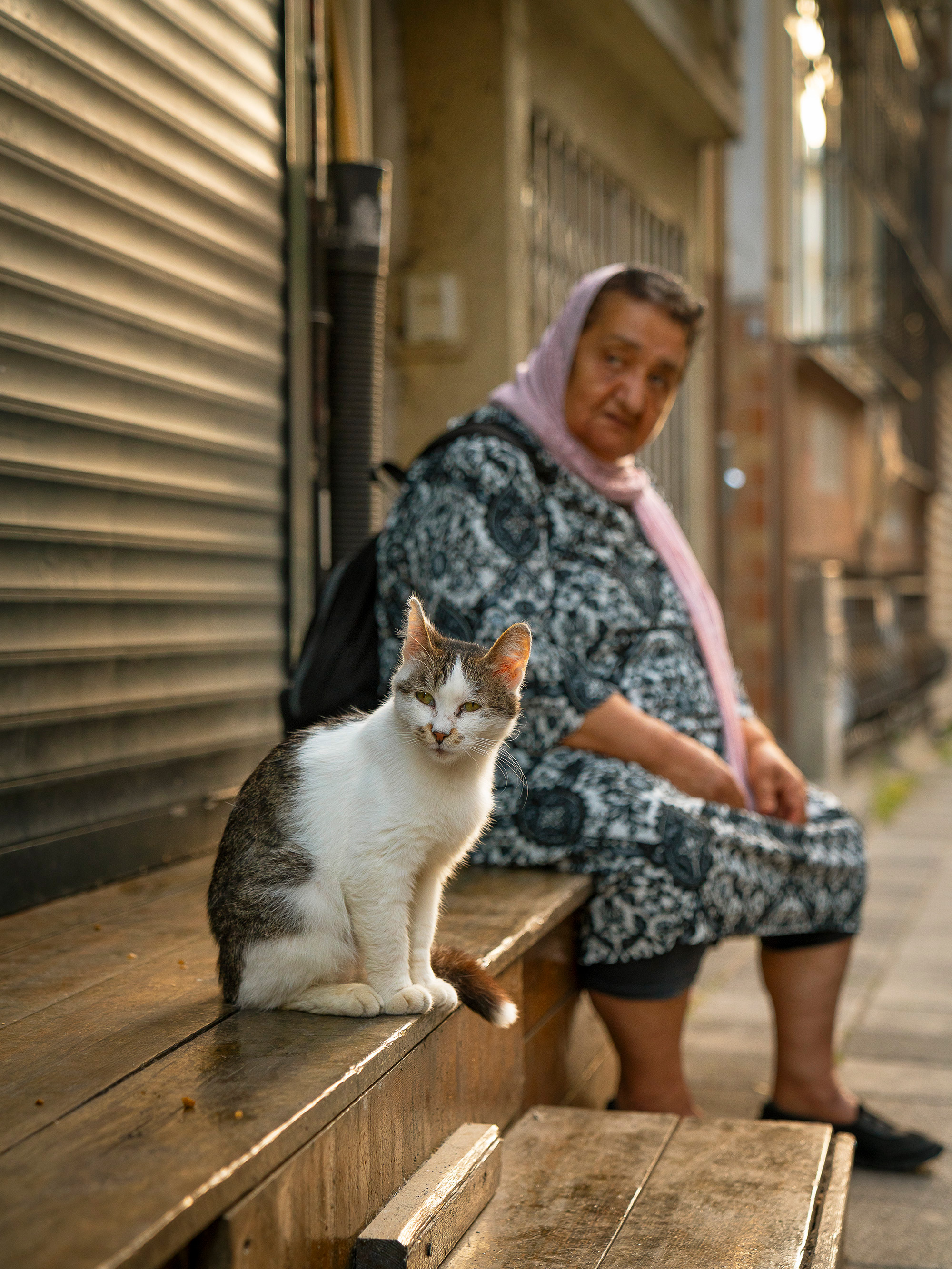 Elderly woman in pink headscarf and patterned dress sits on wooden step beside white and grey cat on covered walkway.