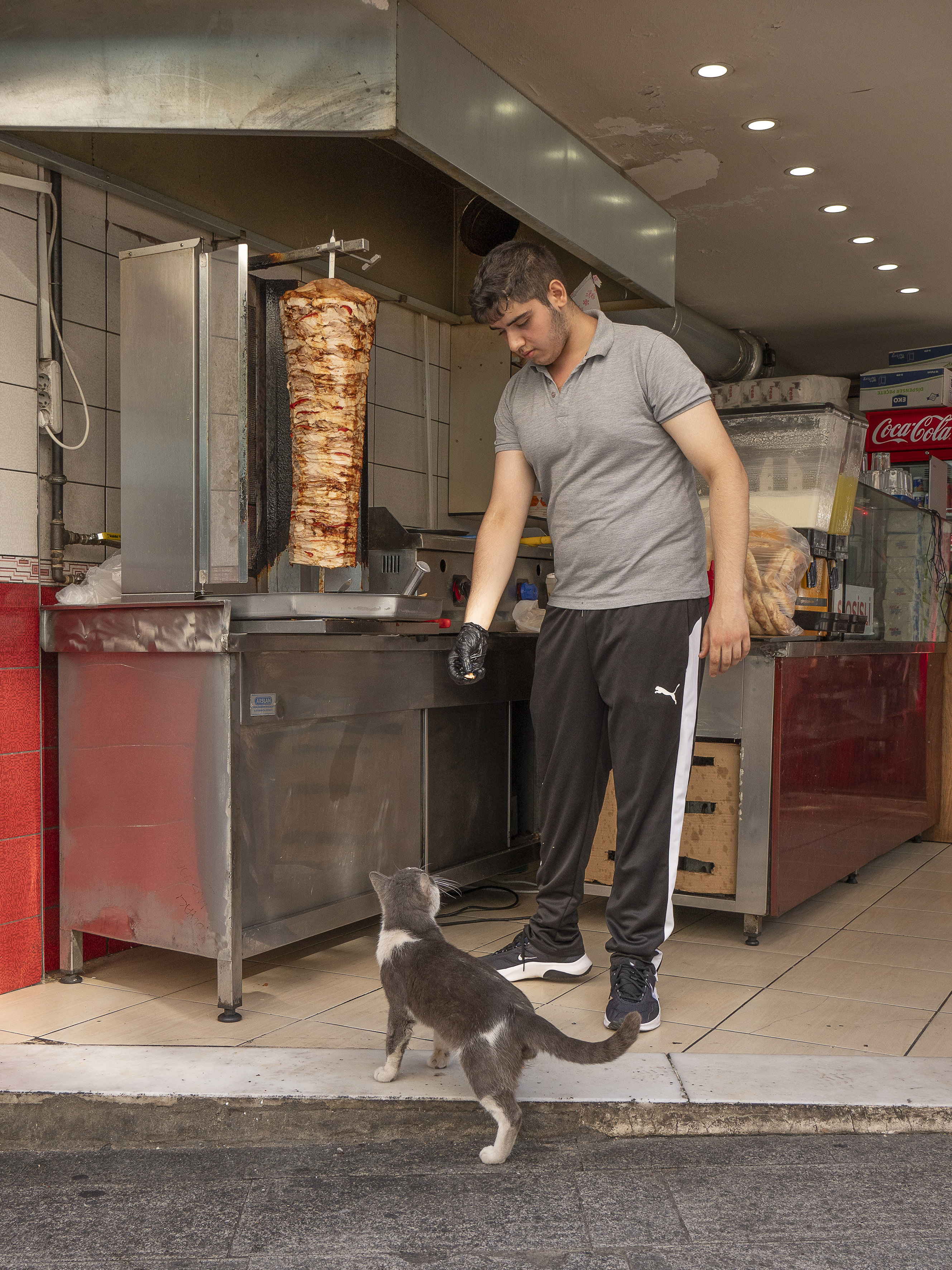 Man in grey polo shirt feeding grey and white cat outside kebab shop with vertical meat spit visible in background.
