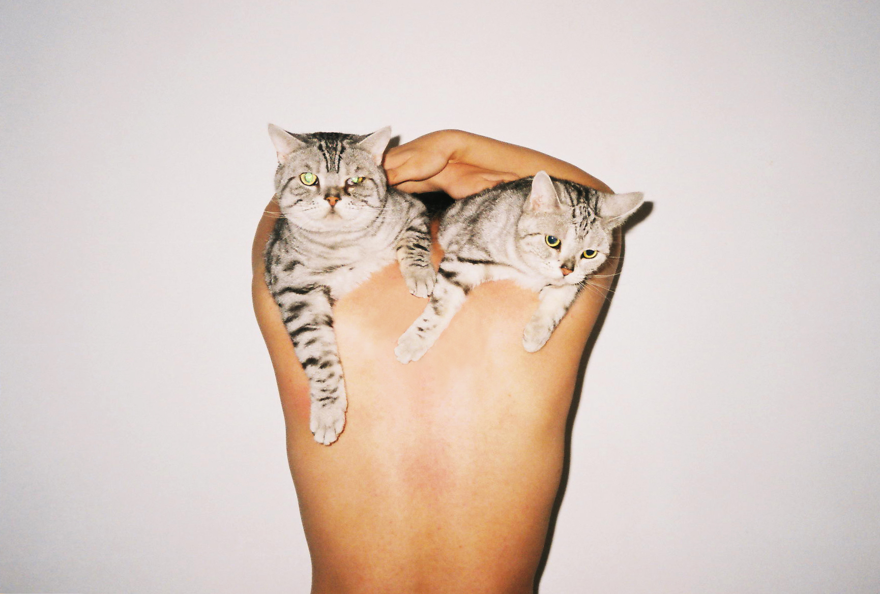 Ren Hang is celebrated in first major exhibition since his… | Huck