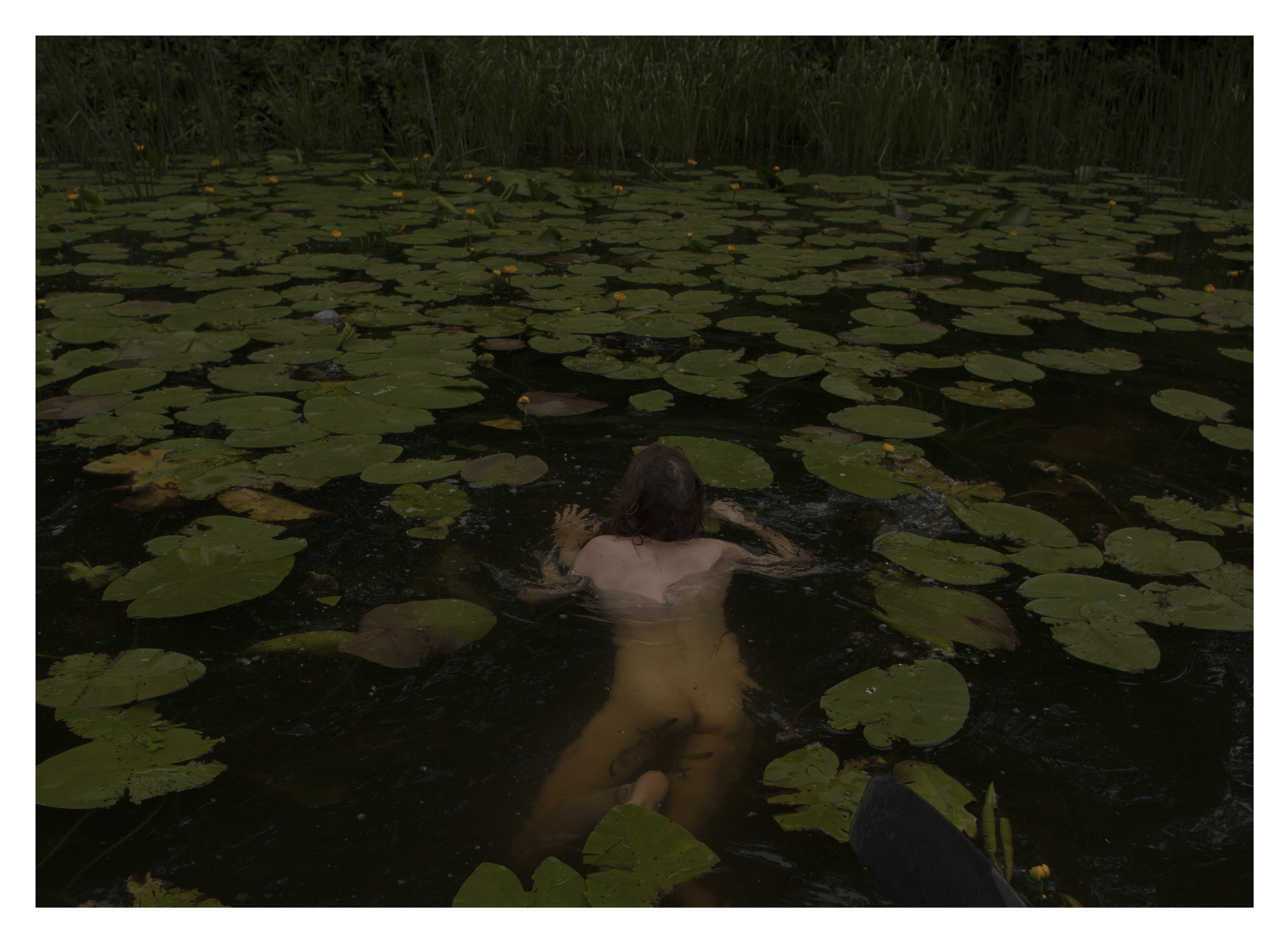 Person swimming in dark water amongst green lily pads, viewed from above in dim lighting.