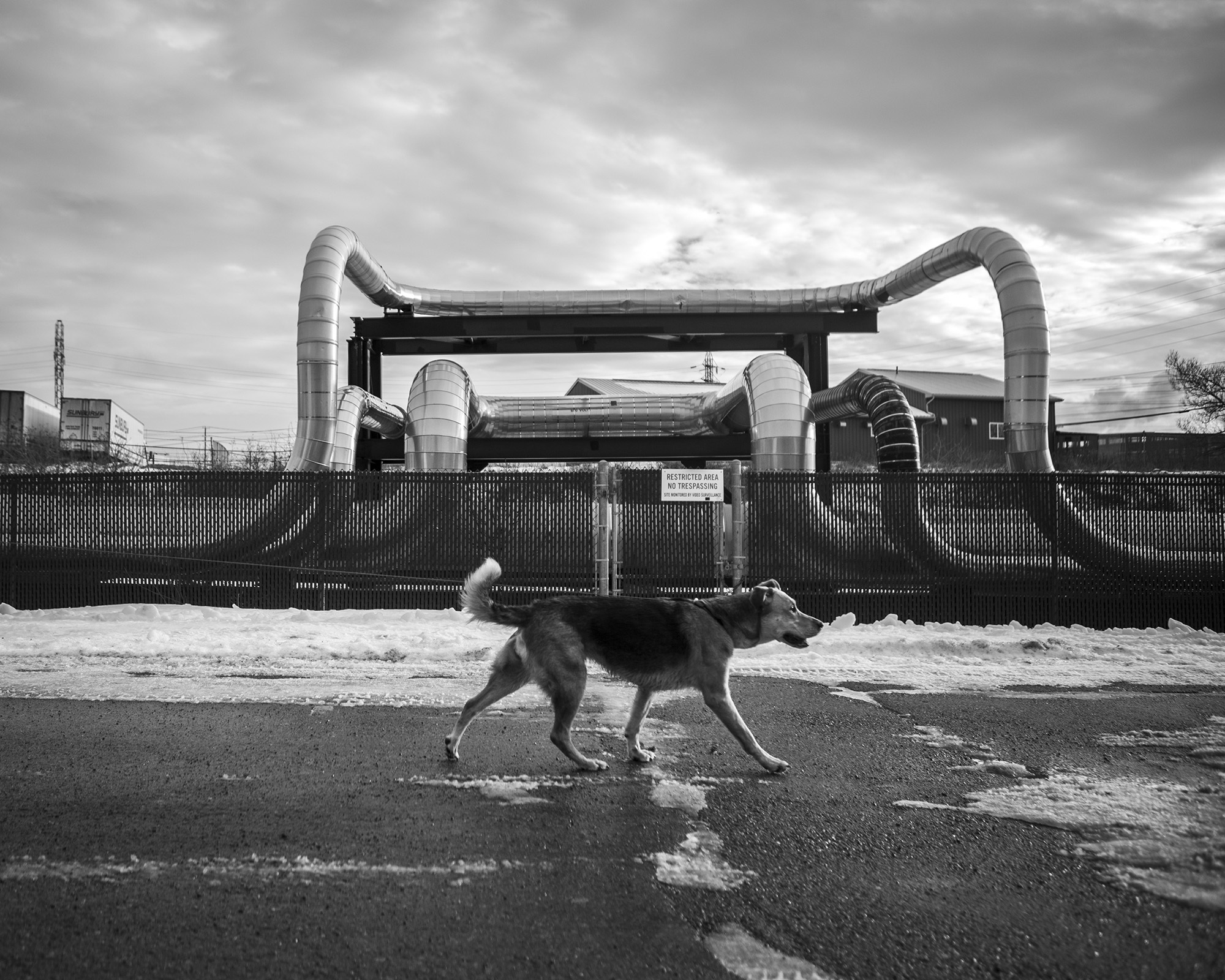 Grey industrial structure with arches, dog running in foreground.