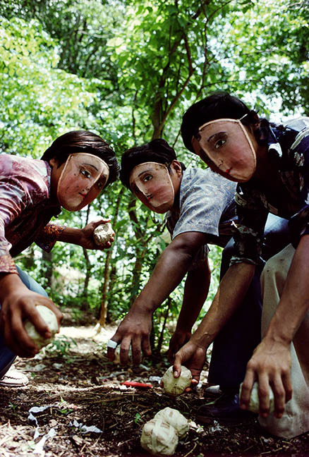 Four young adults examining something on the forest floor.