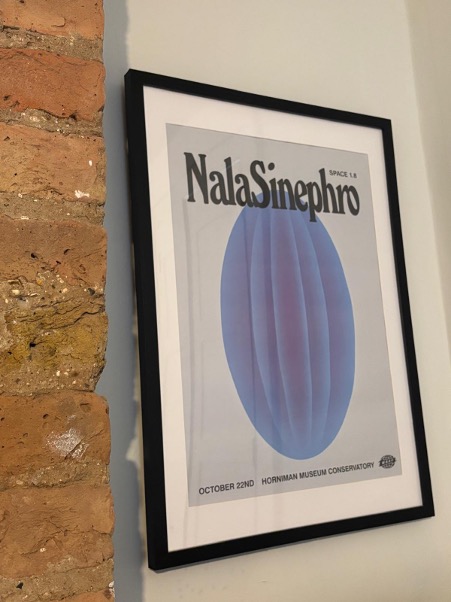Framed poster with "NalaSinephro" text above blue oval shape with vertical lines, mounted on white wall next to exposed brick.