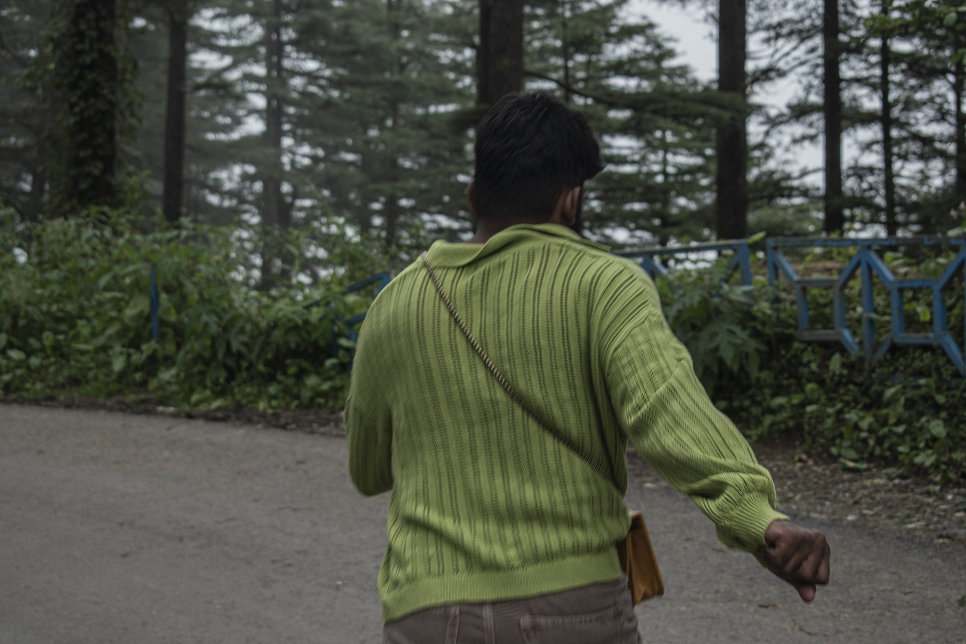 Man in lime green striped jumper walking on concrete path, back view, surrounded by dense green forest and trees.