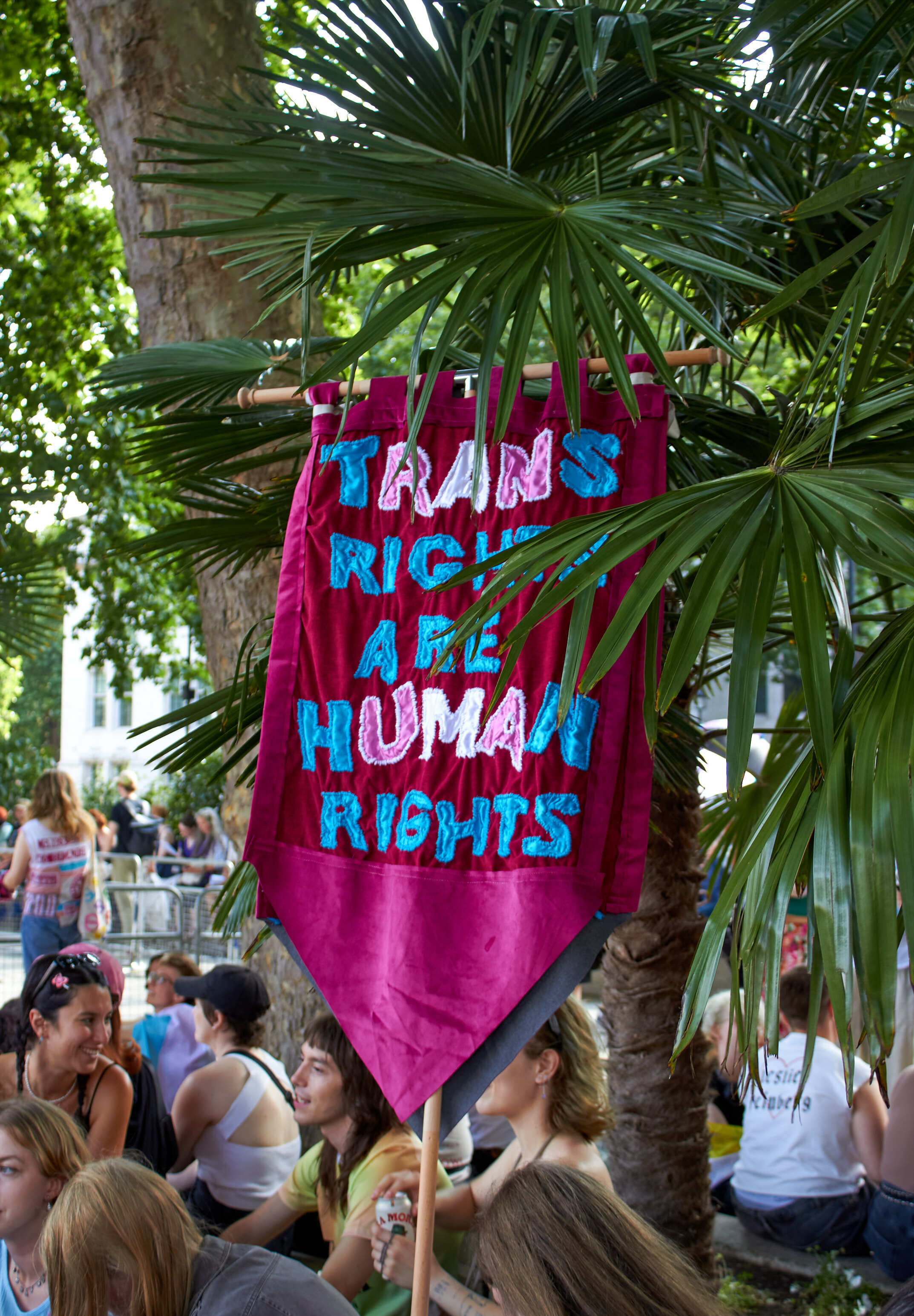 Pink banner reading "TRANS RIGHTS ARE HUMAN RIGHTS" in blue lettering, held up amongst green palm fronds with crowd below.