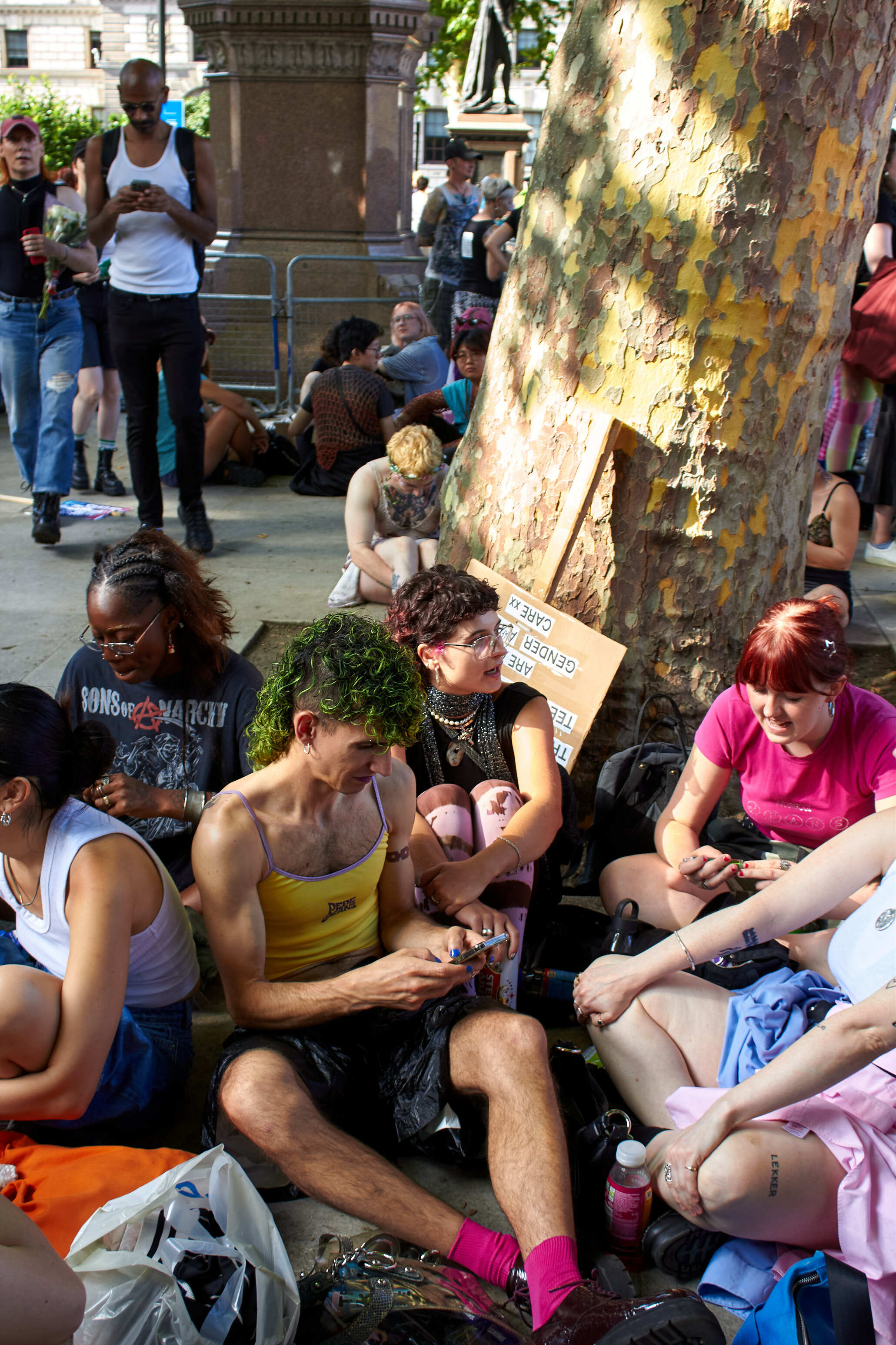 Group of protesters sitting and standing around large tree trunk in public square, with colourful clothing and banners visible.