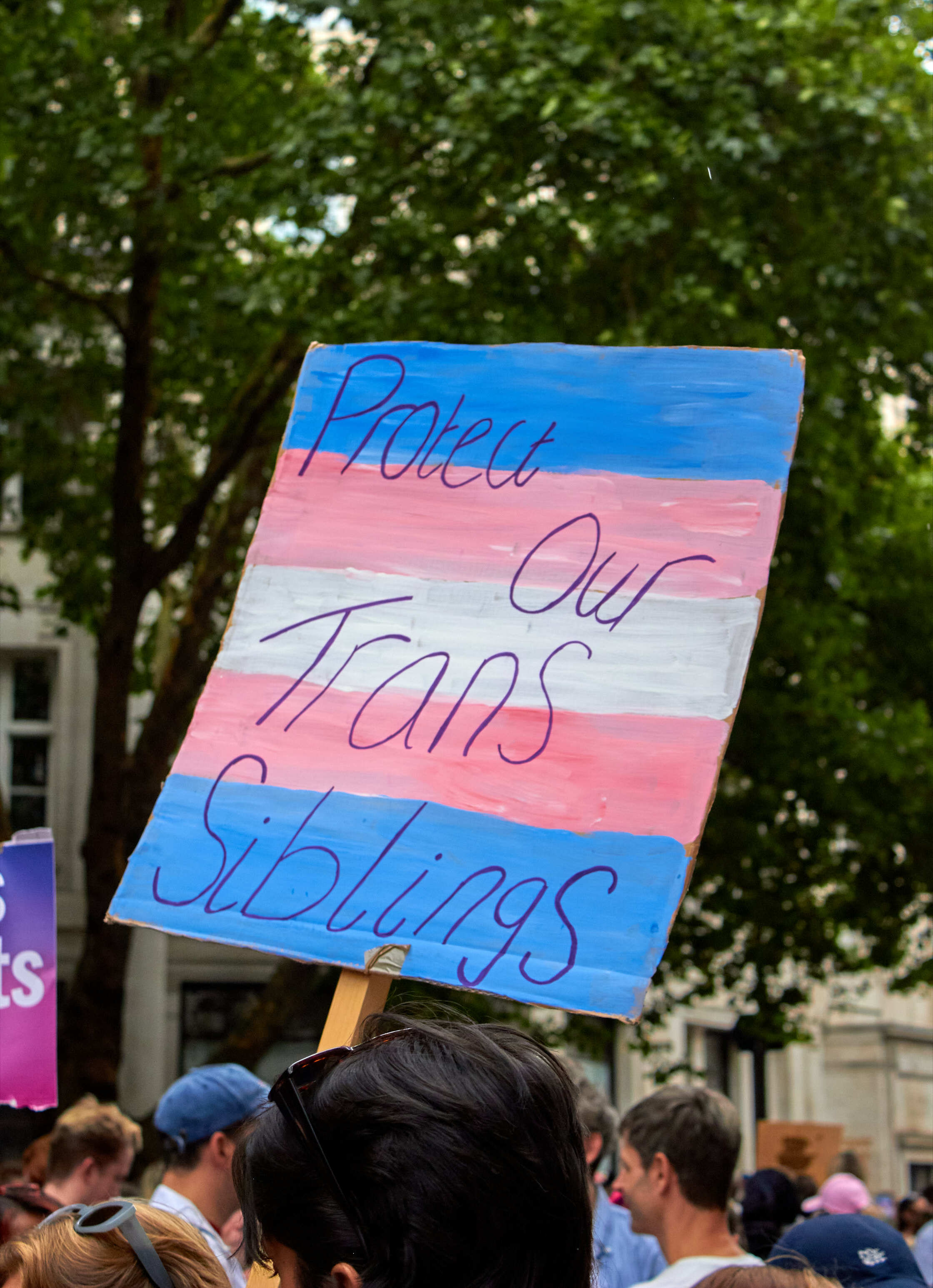 Protest sign with blue, pink and white stripes reading "Protect Our Trans Siblings" in black text, held above crowd with trees behind.