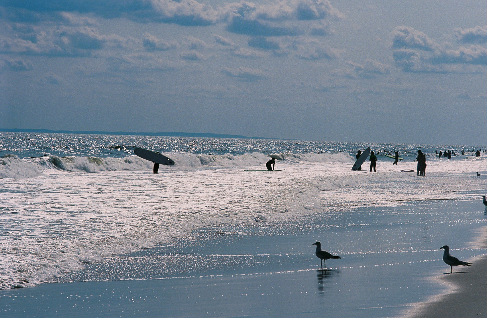 Beachgoers walking along the shore, with birds in the foreground and overcast skies.