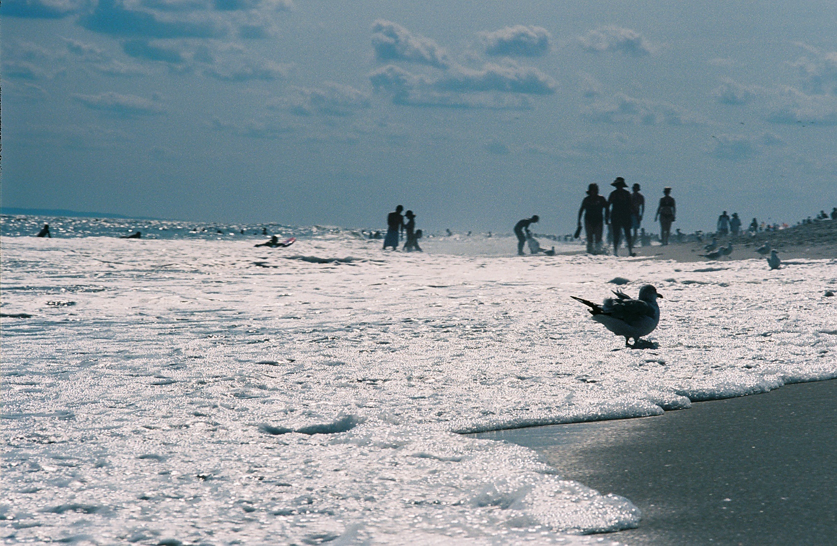 Snowy beach with groups of figures in the distance and a seabird in the foreground. Overcast sky with scattered clouds.