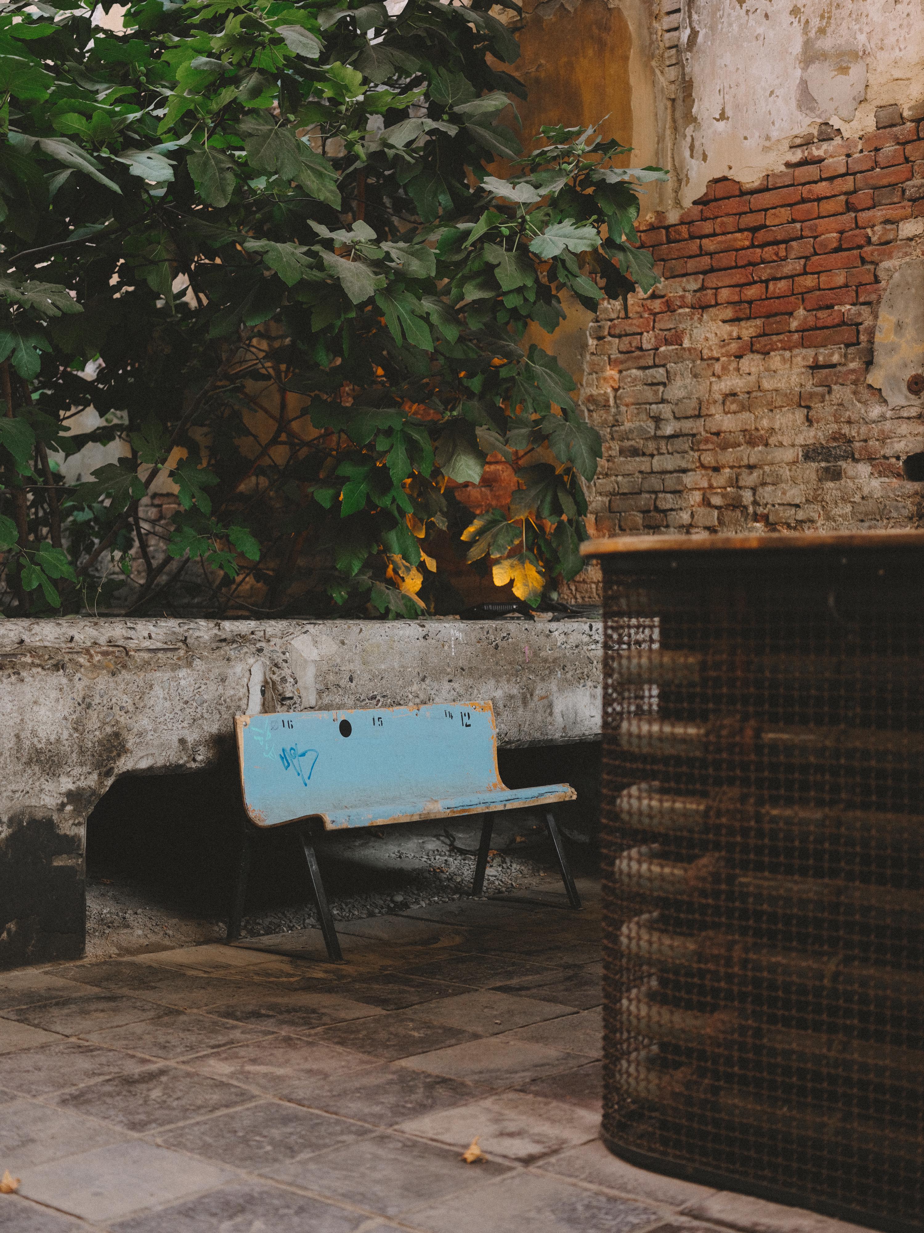 Light blue bench against weathered brick wall with green foliage above, rubbish bins and paved ground in foreground.