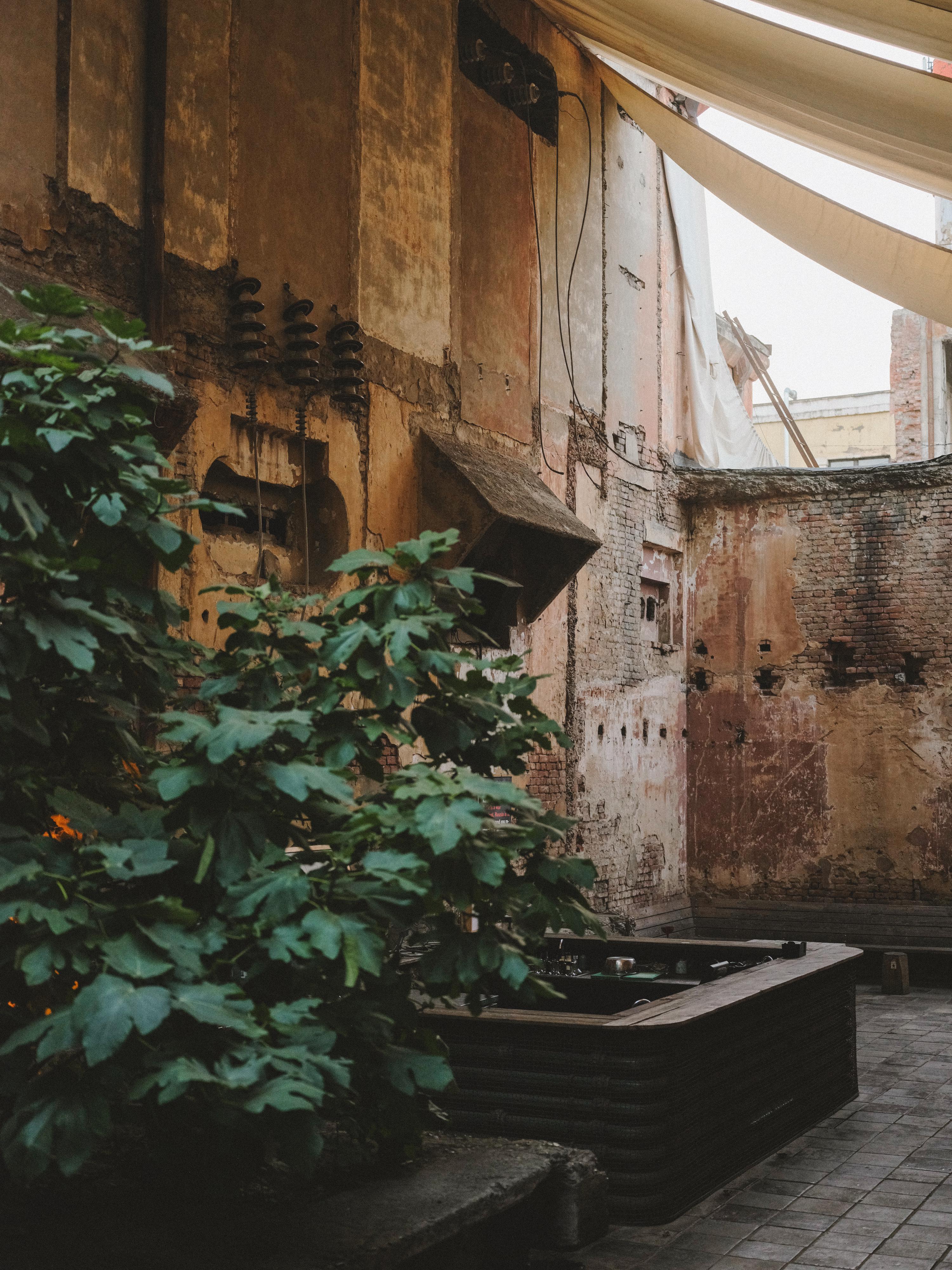 Overgrown green plants sprawl across weathered brick walls and concrete surfaces in deteriorating industrial interior with glass roof.