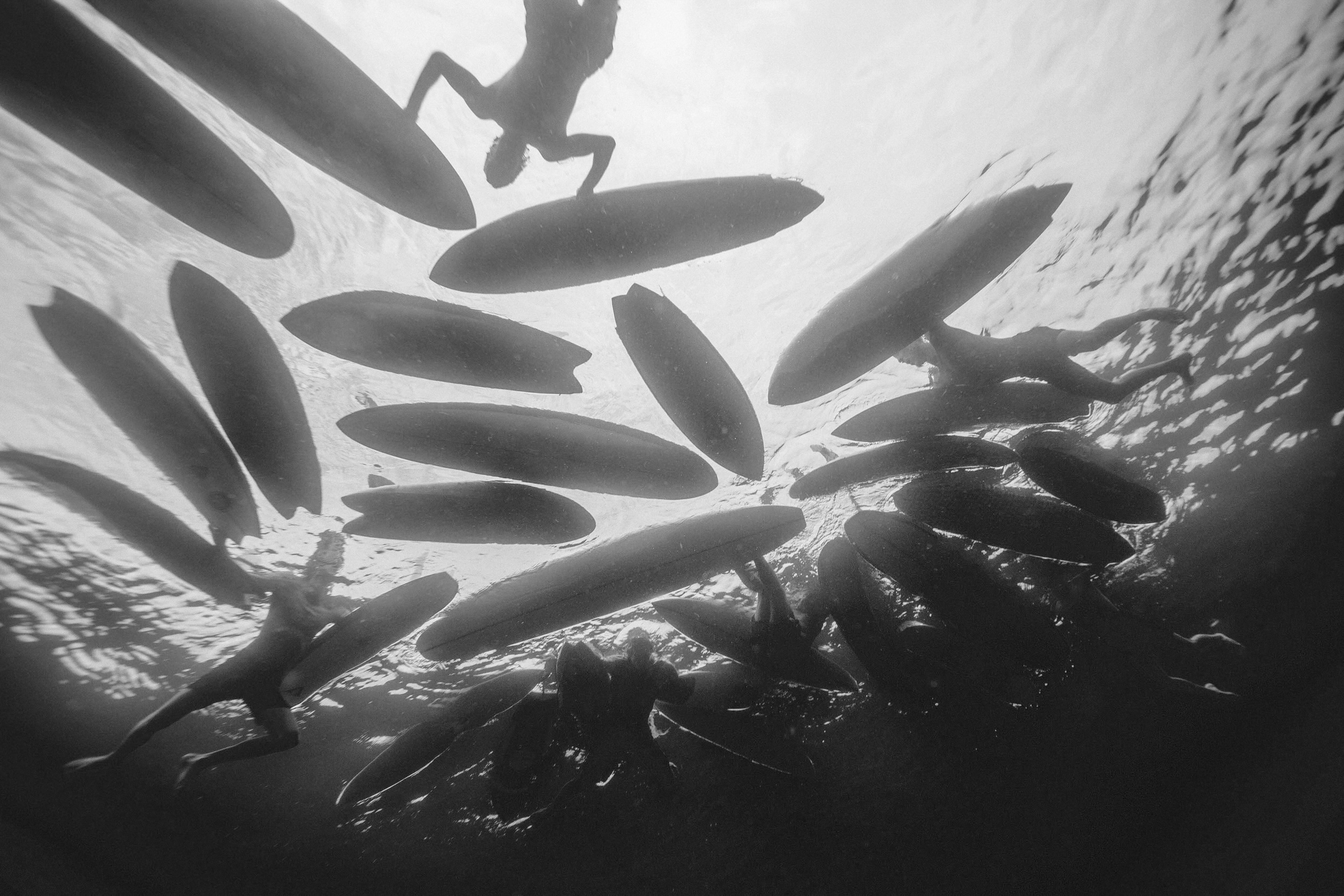 Black and white underwater shot showing silhouettes of multiple surfboards floating above, viewed from below with sunlight filtering through water.