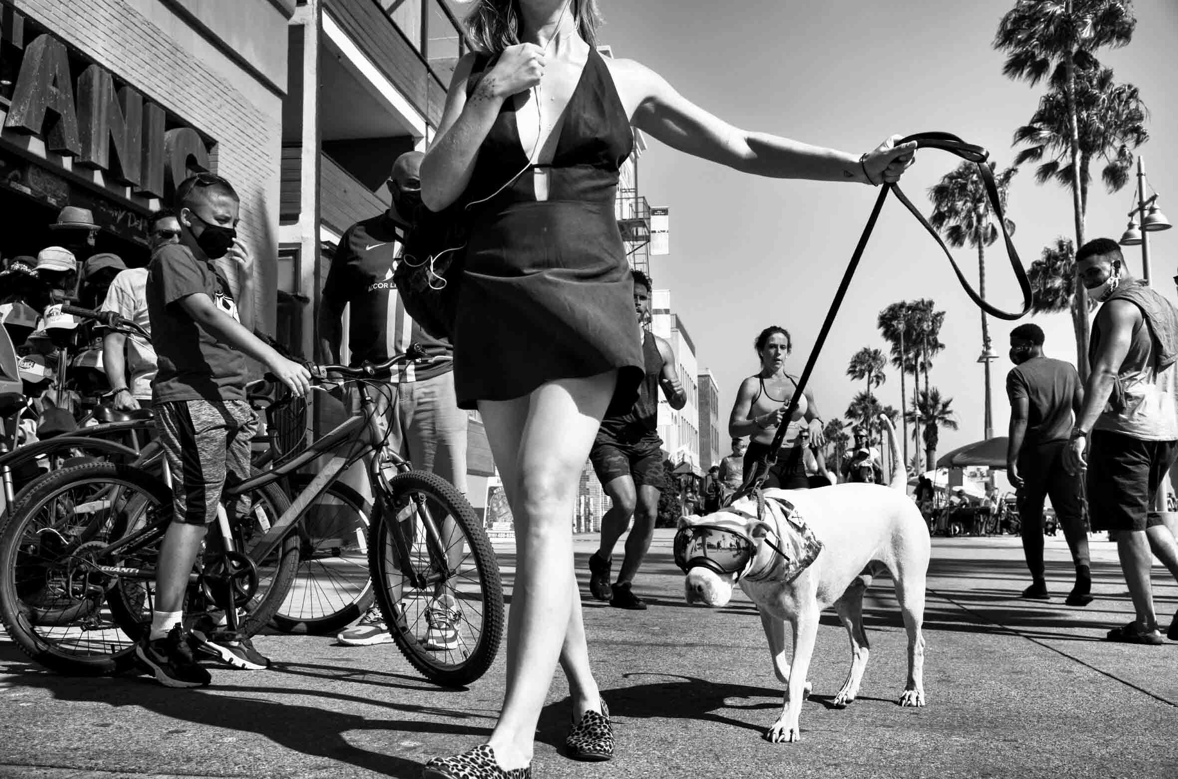 In photos: the dogs of Dogtown | Huck