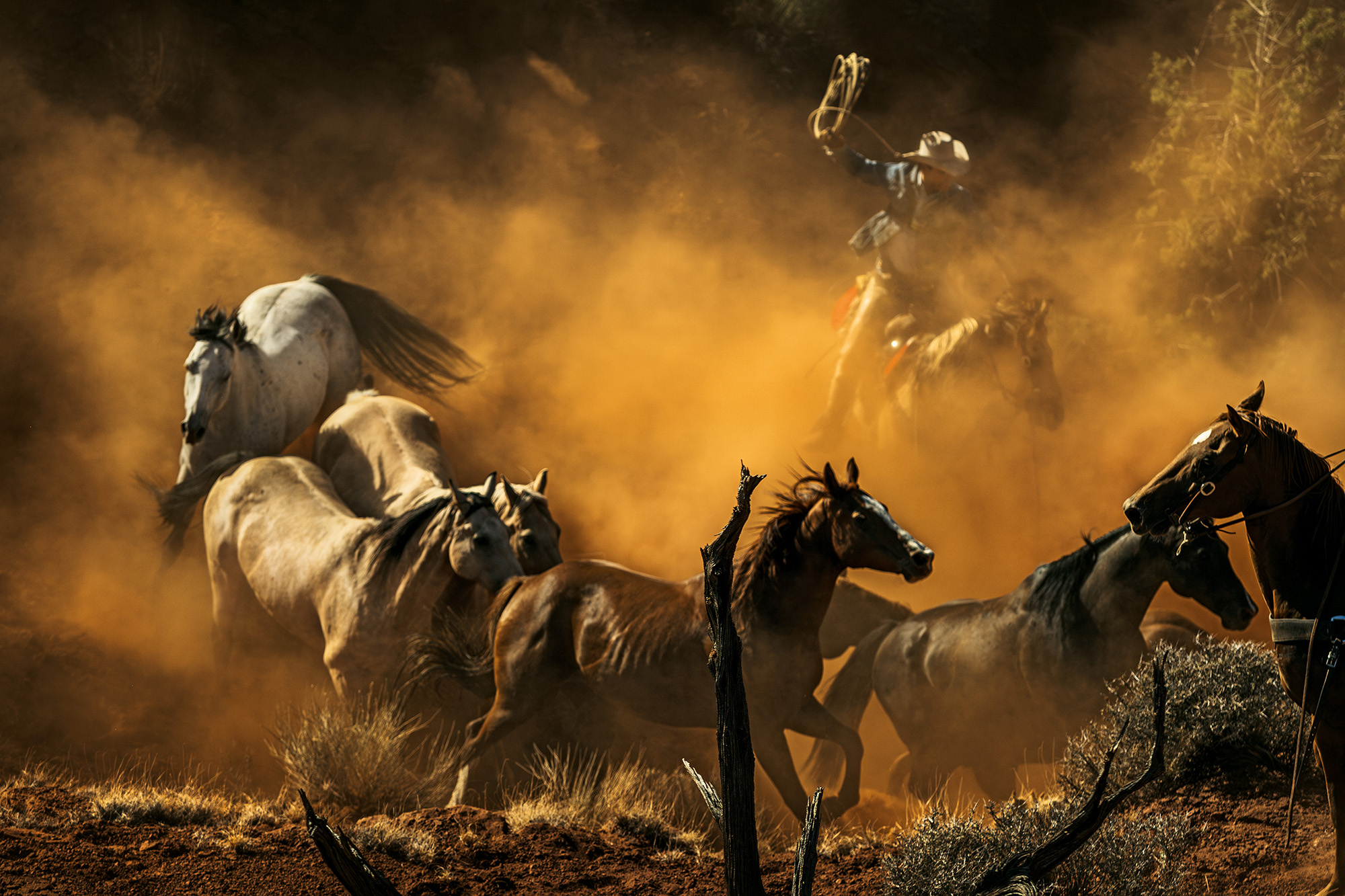 Digital artwork showing horses in brown, black and white tones against orange-yellow smoky background with shadowy human figure.