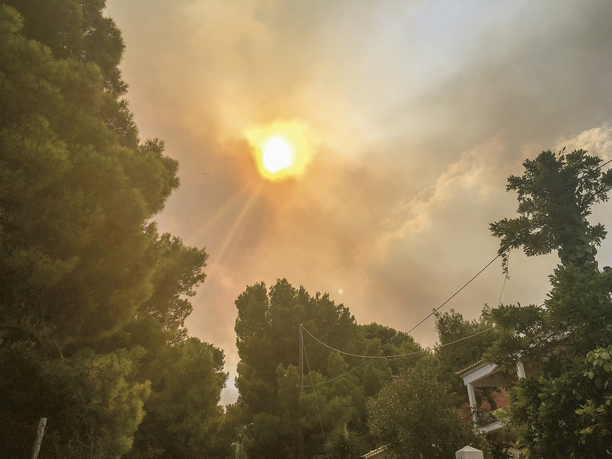 Sun visible through orange and grey cloudy sky above green tree canopy with power lines and partial building structure.