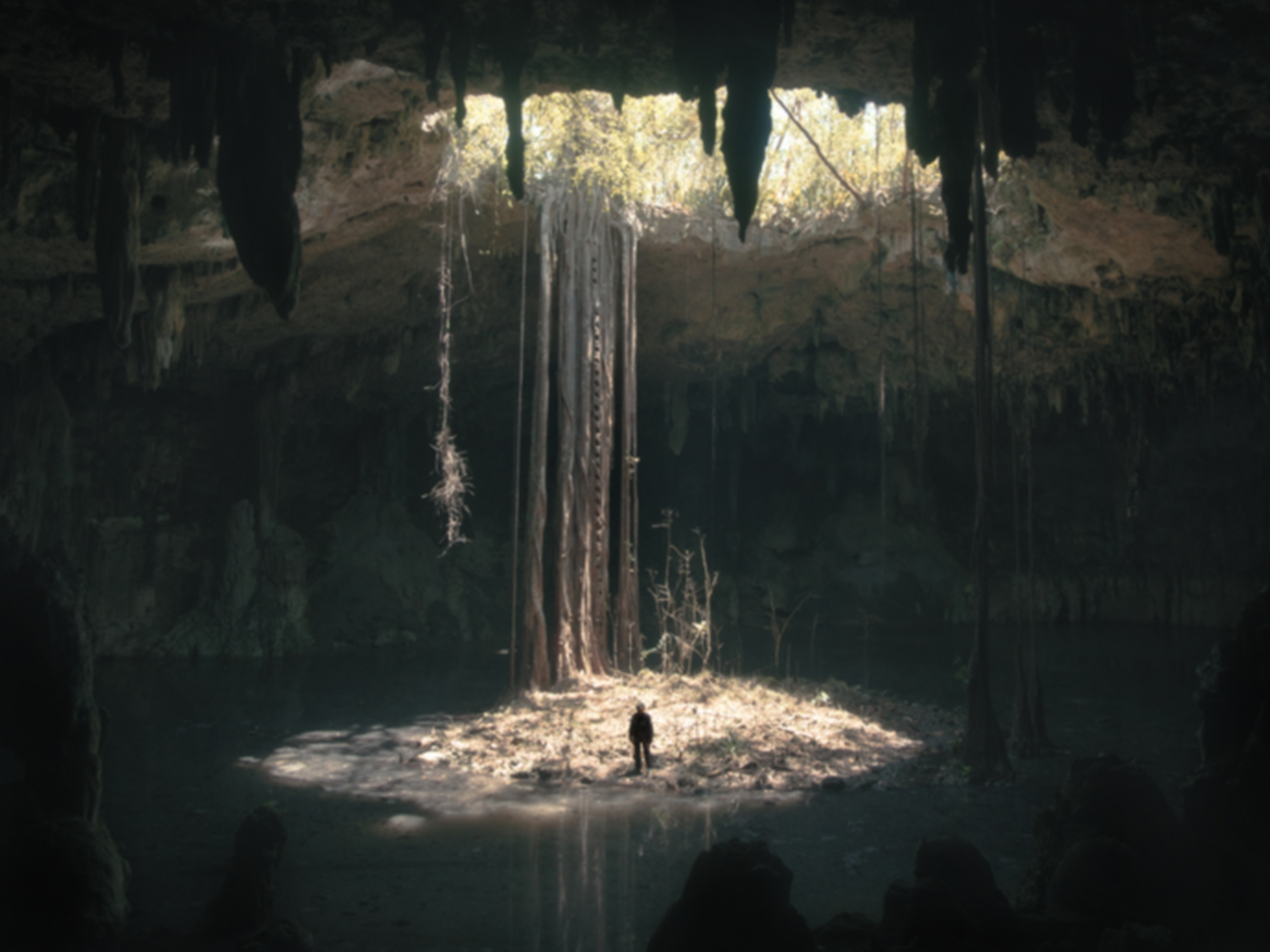 Going Underground: Five picks from CPH:DOX