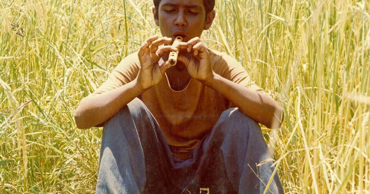 Bashu, Beyzaie and the Paradox of Iranian Identity Bashu, Beyzaie and the Paradox of Iranian Identity