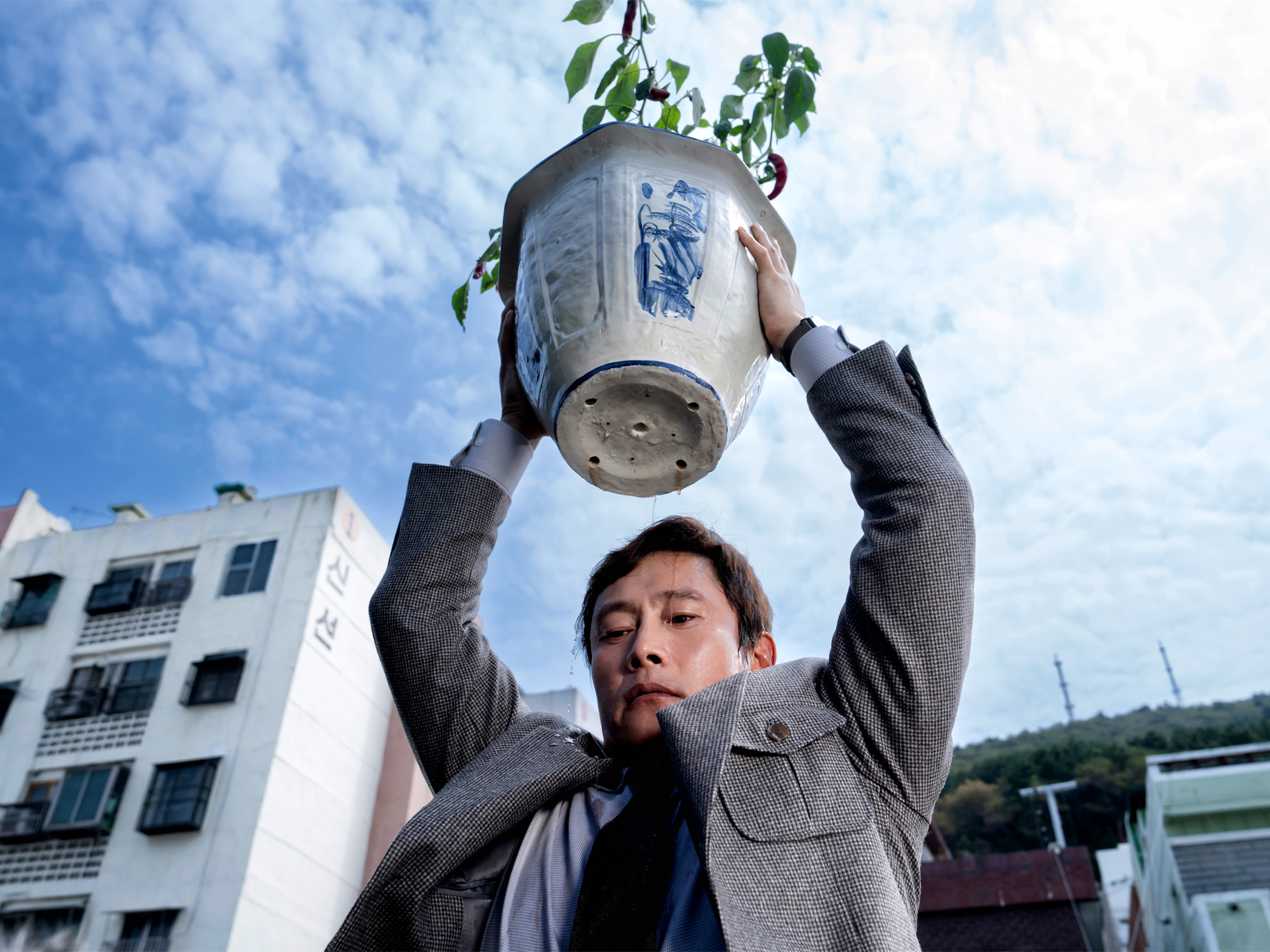 Man holds white bucket with green plant sprouting from top above his head against blue cloudy sky, buildings visible behind.